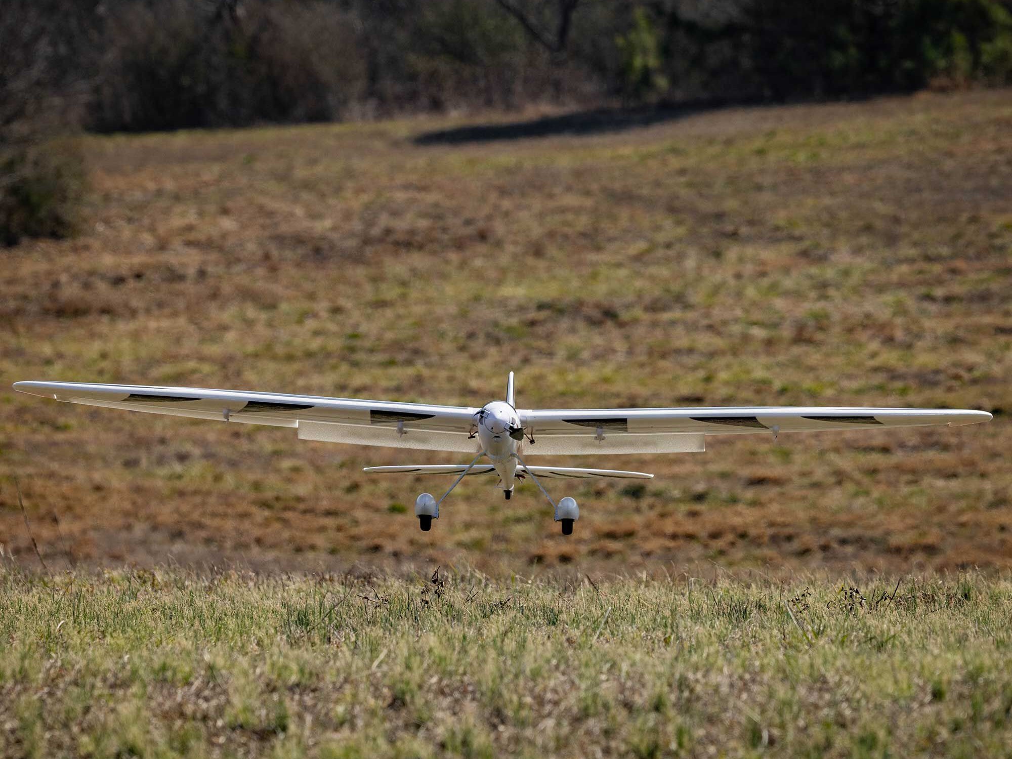 Conscendo 2.0m PNP-31