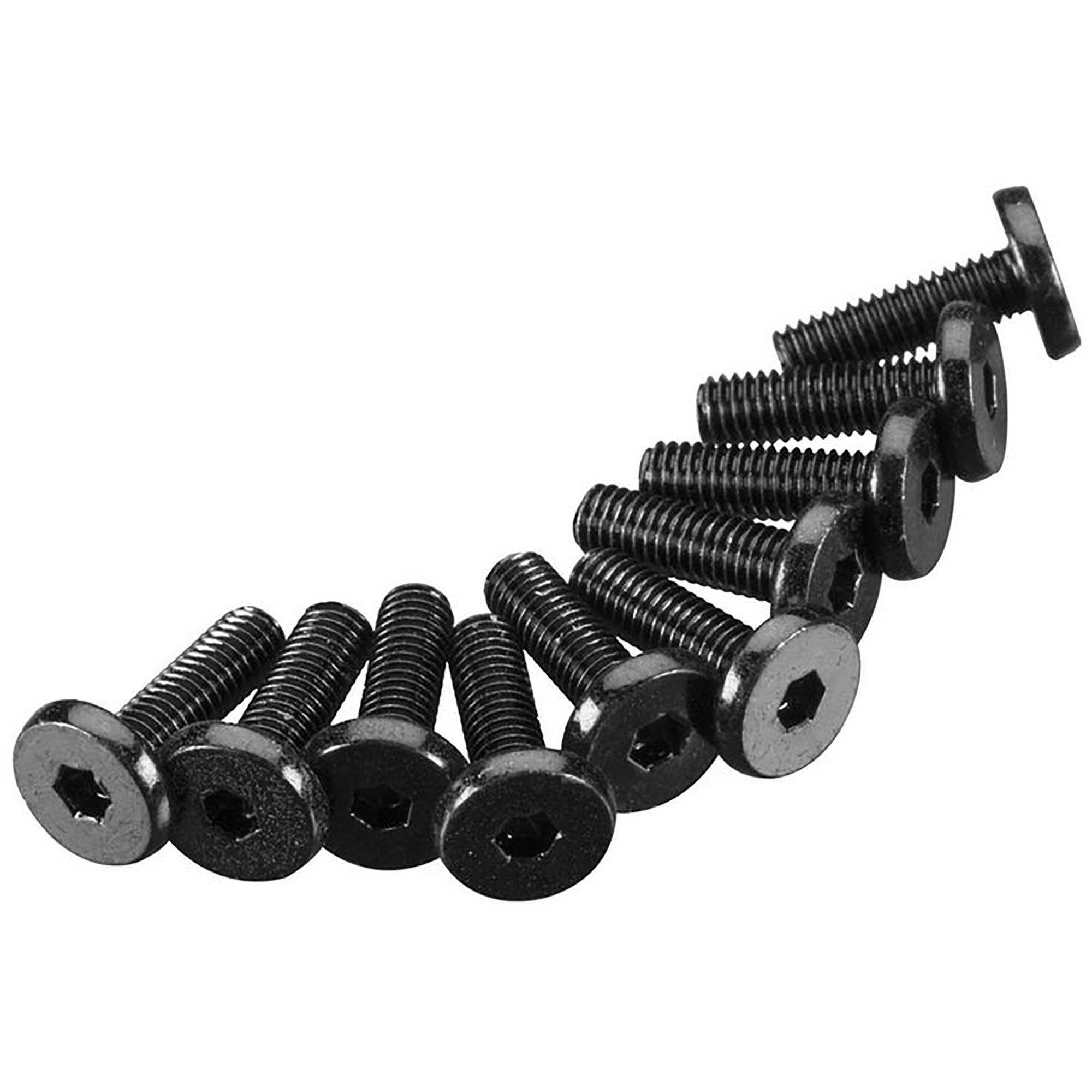 Hex Socket Oversize Head 3x8mm (10)