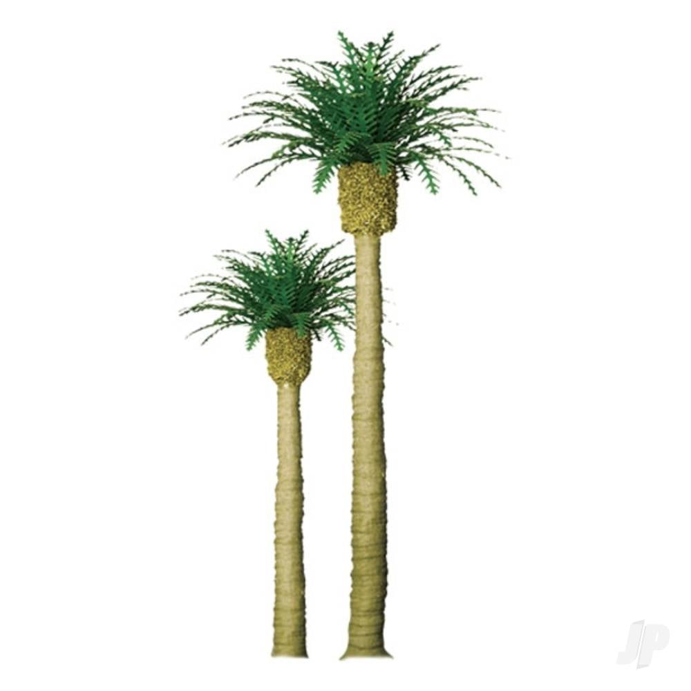 Phoenix Palm, 8in, (1 per pack)-2