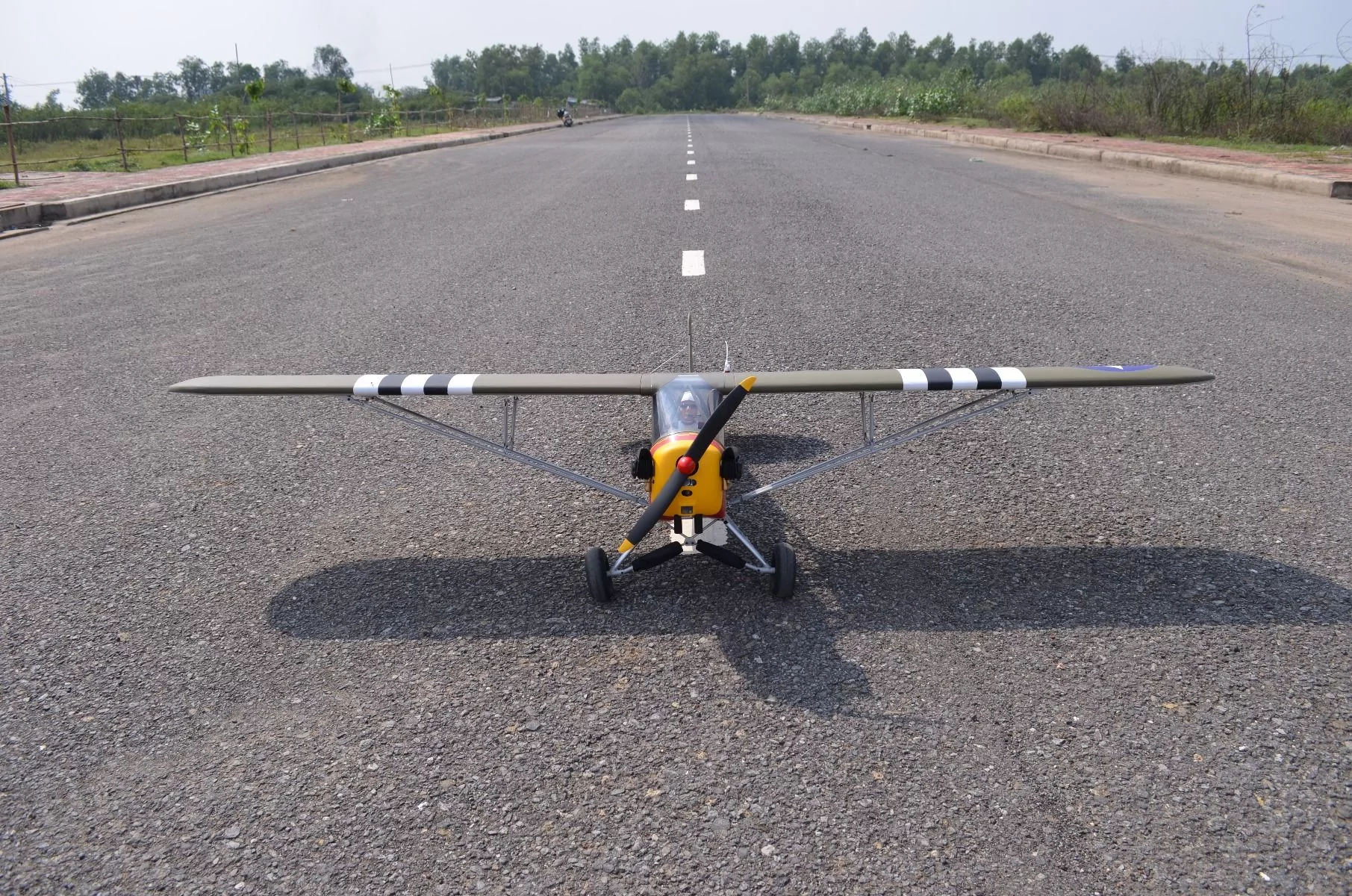 1/5 Scale L-4 Grasshopper 90in (15-20cc)-9