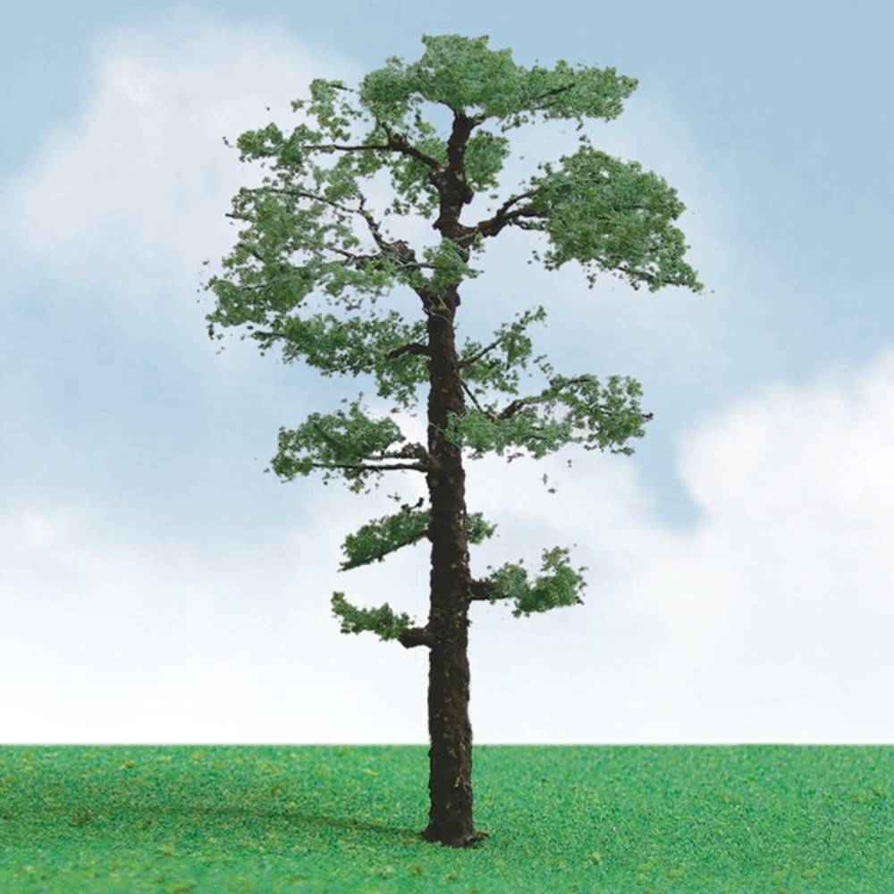 Scot Pine, 8in, (1 per pack)-2