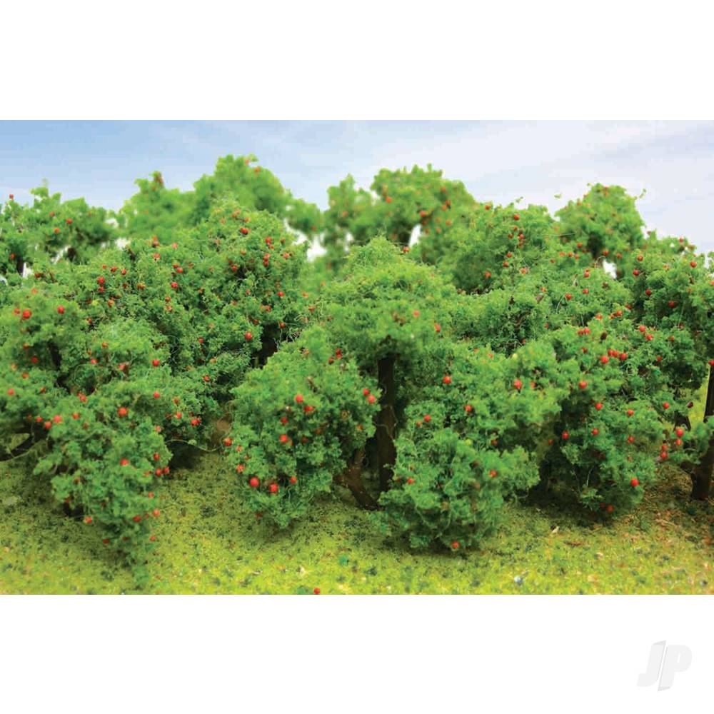 apple-tree-grove-2in-to-2-14in-tall-6-per-pack