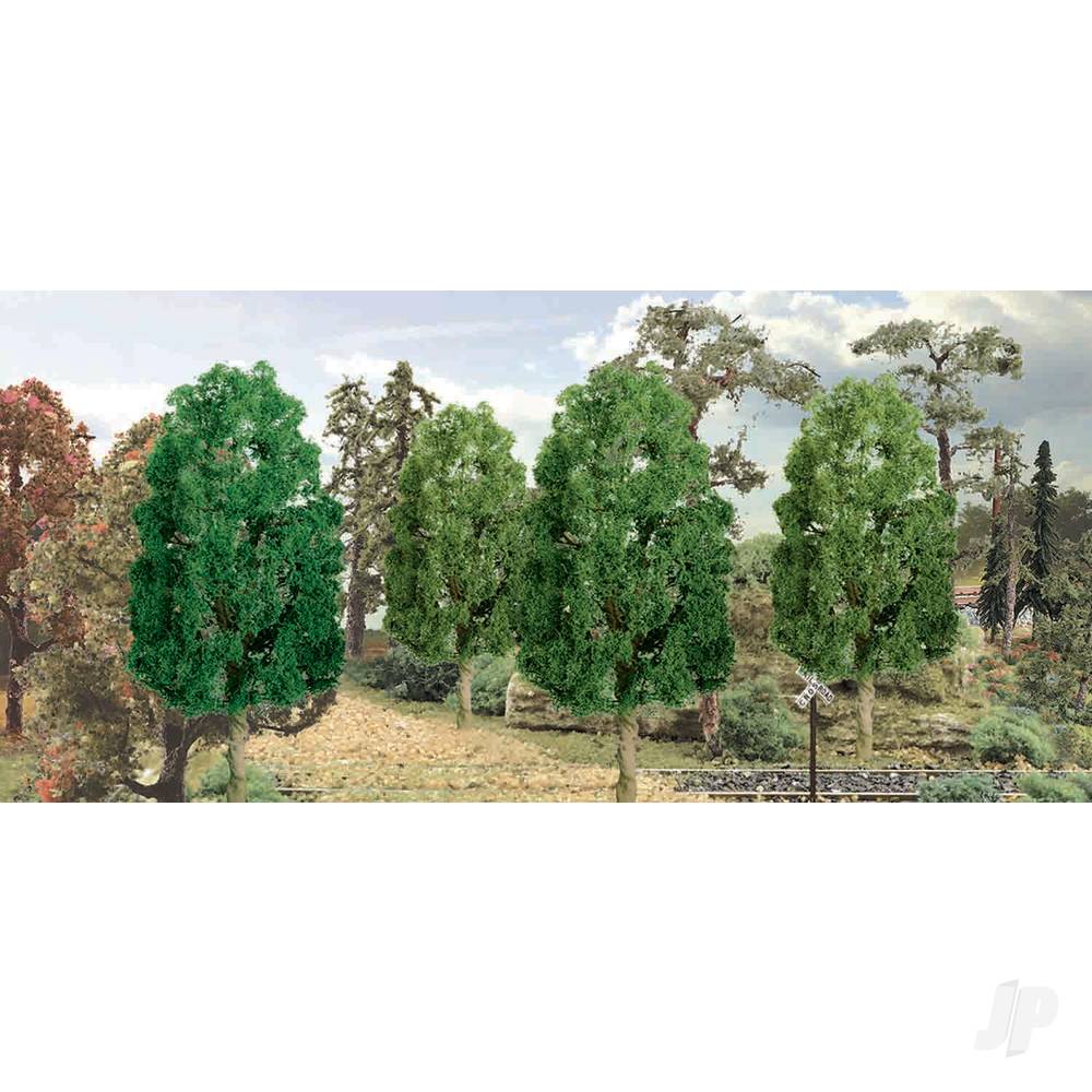 Sycamore, 3in, (3 per pack)