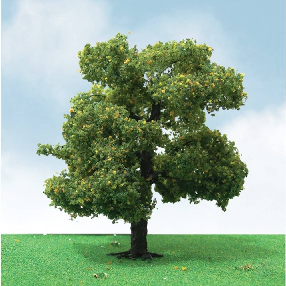 Sycamore, 8in, (1 per pack)-2