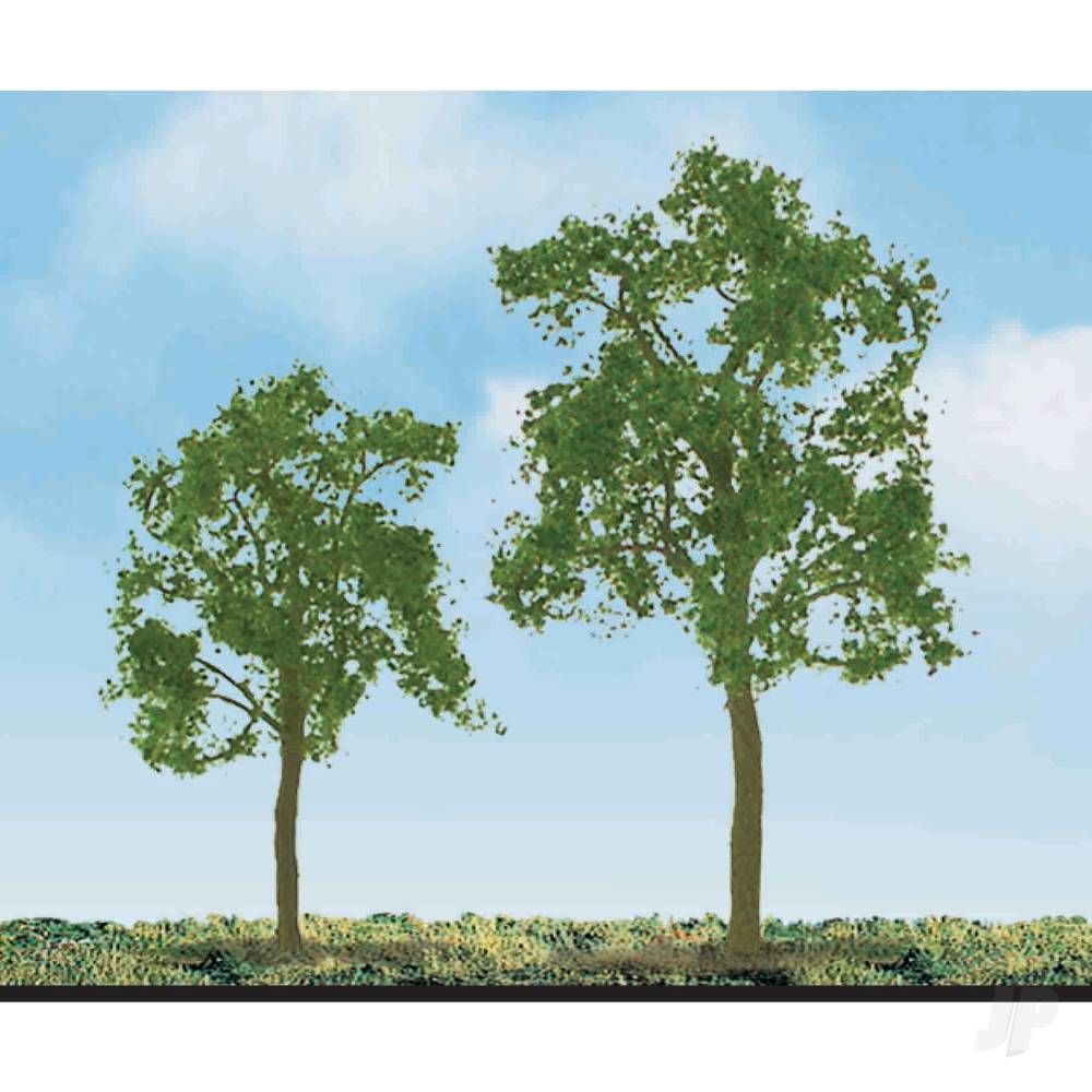 ash-tree-1-12in-4-per-pack