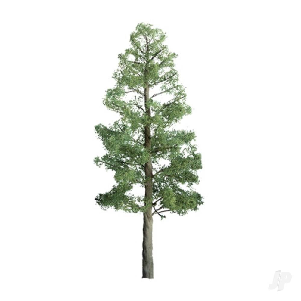 Pine, 3in, (3 per pack)-2