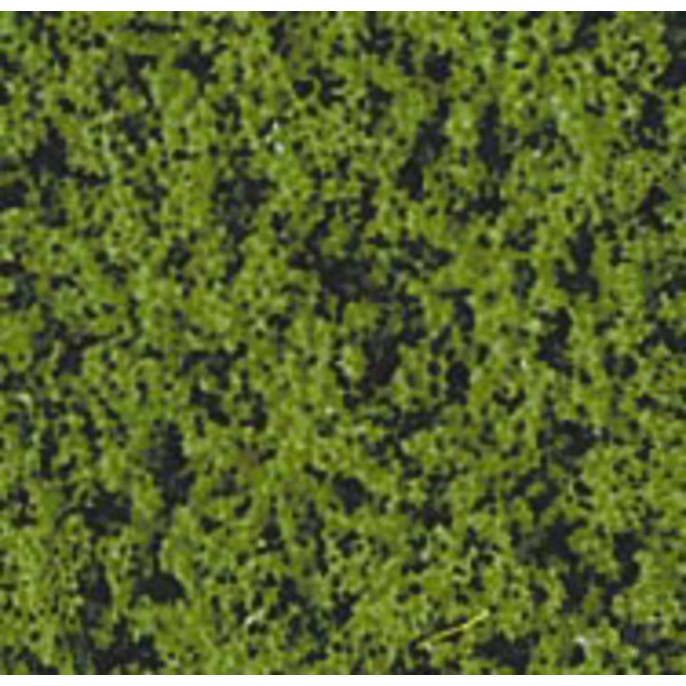 1551 Mid-Green Foam Tree Foliage
