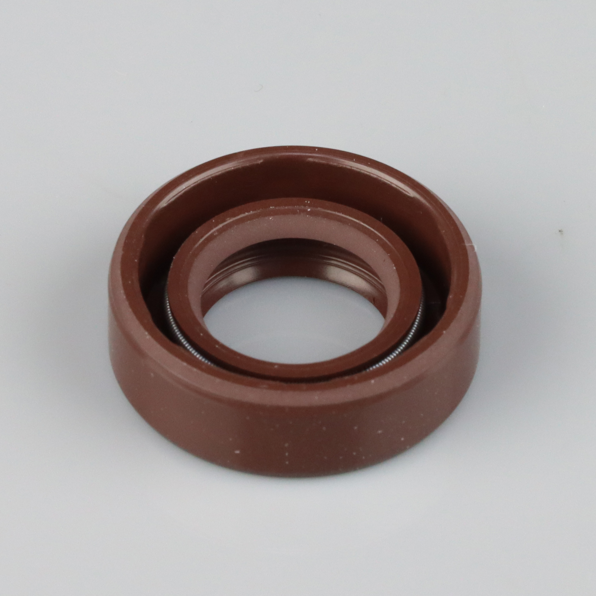 Oil Seal-1