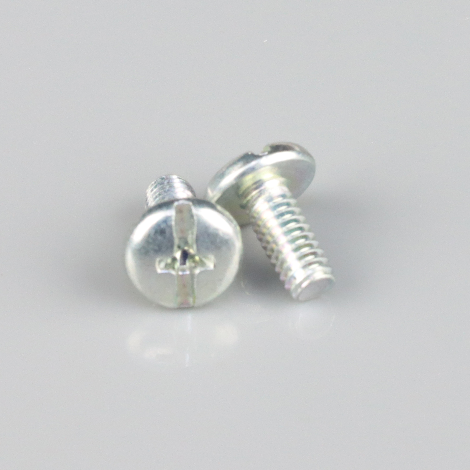 Pump Cover Bolt (2 pcs)