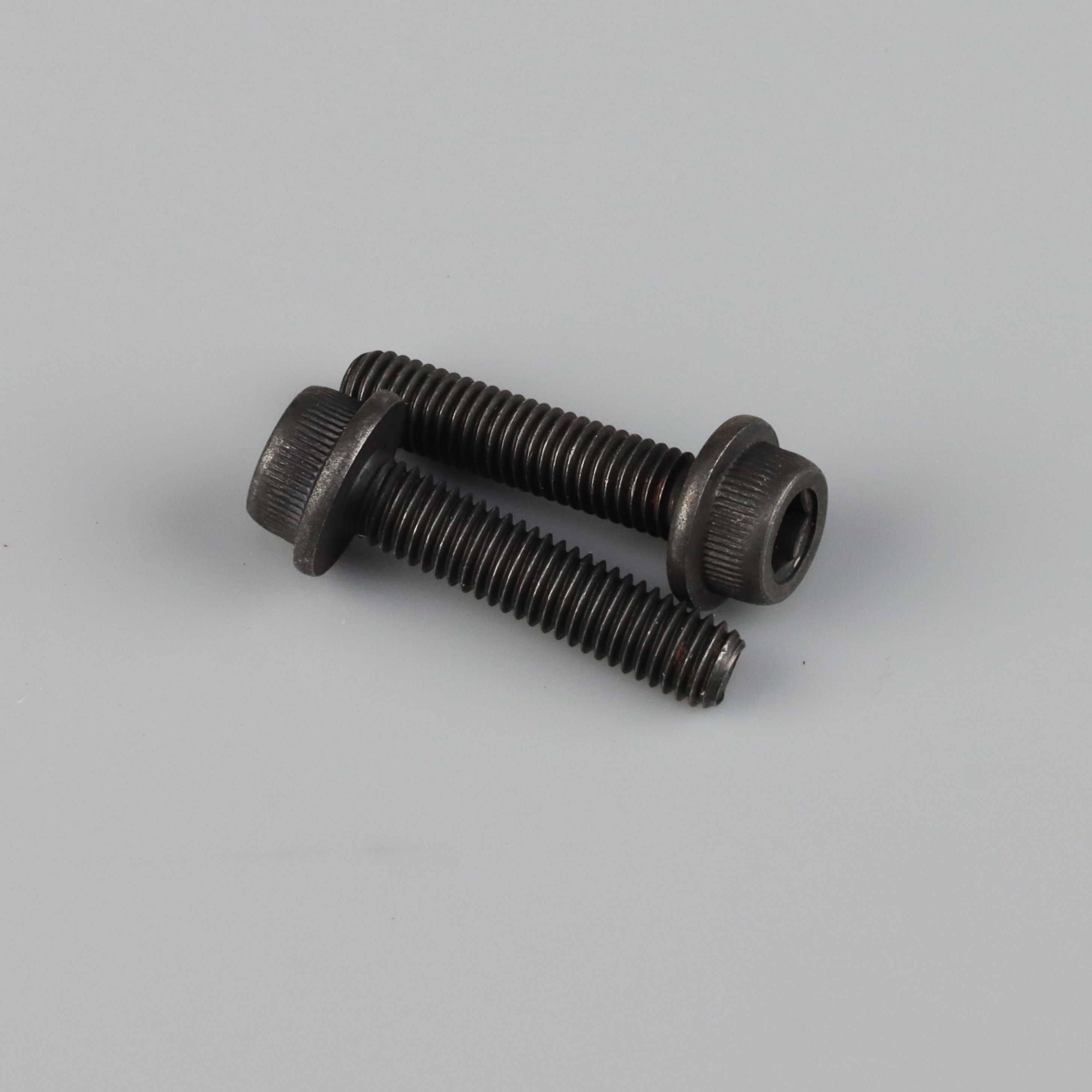 Bolt M5x 22mm (2 pcs)
