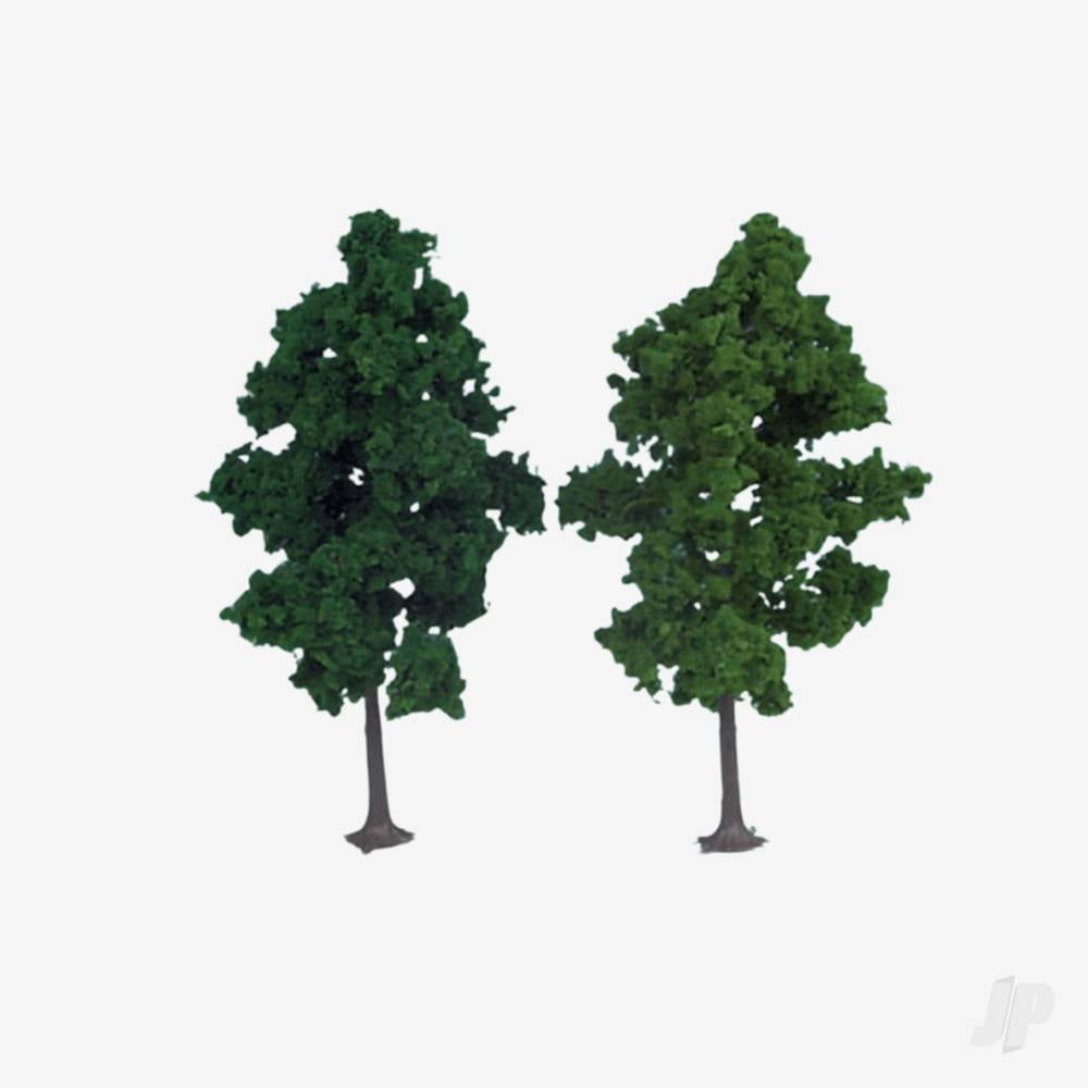 1202 2 Beech Trees 19cm (Dark Green)