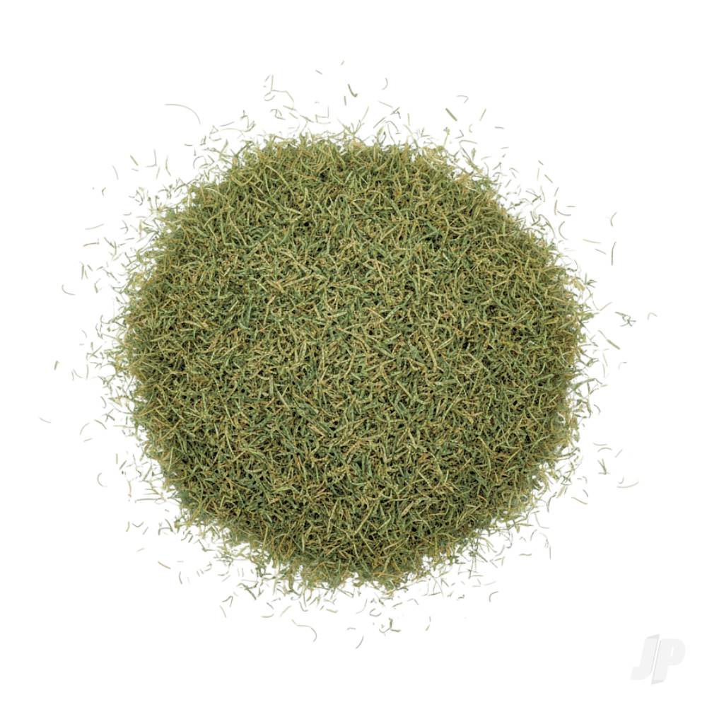 1574 Wild Grass Savanna