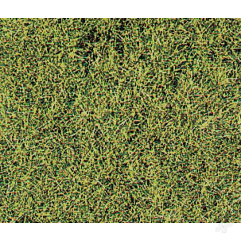 1574 Wild Grass Savanna-2