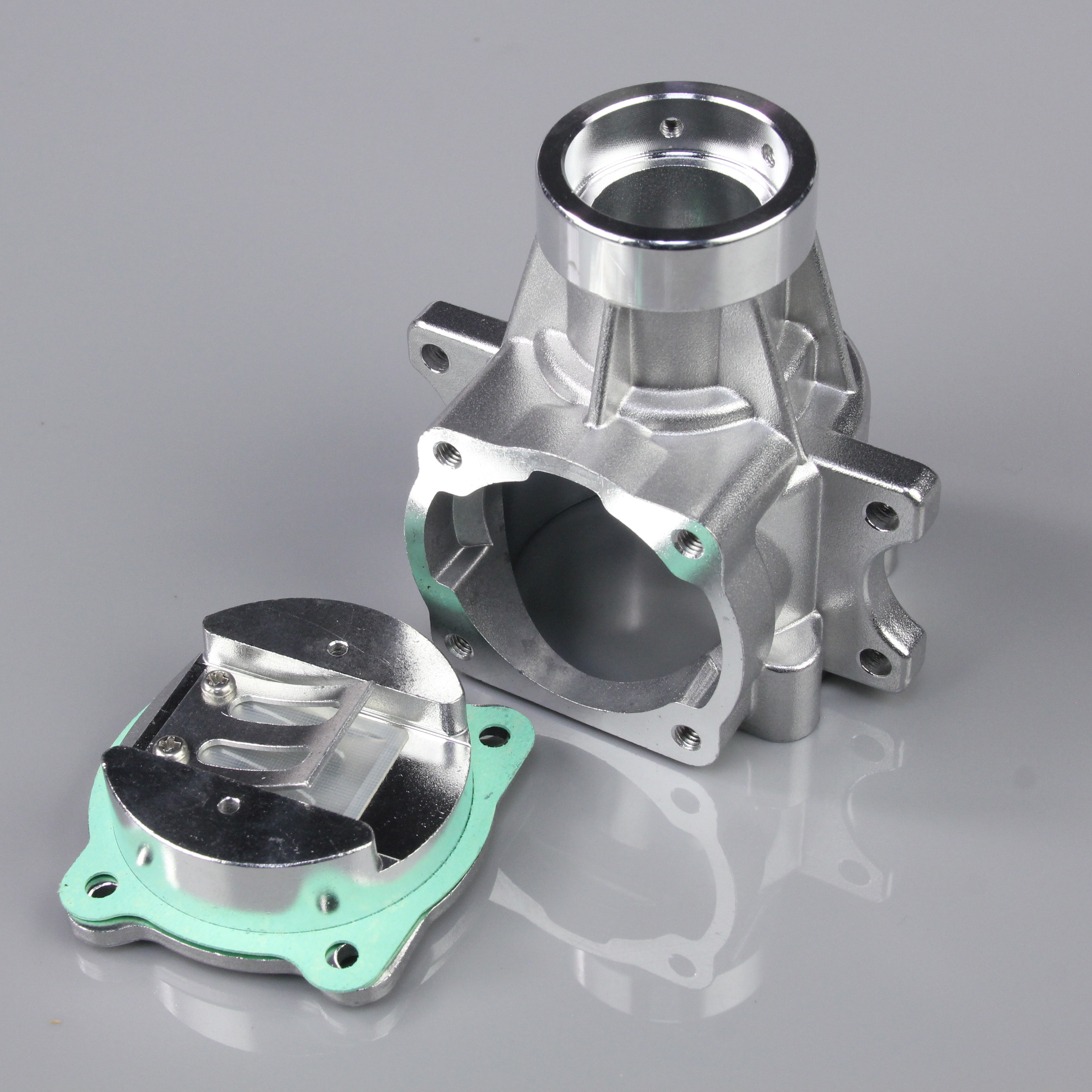 Crankcase Lower and Backplate (fits 20cc RE)