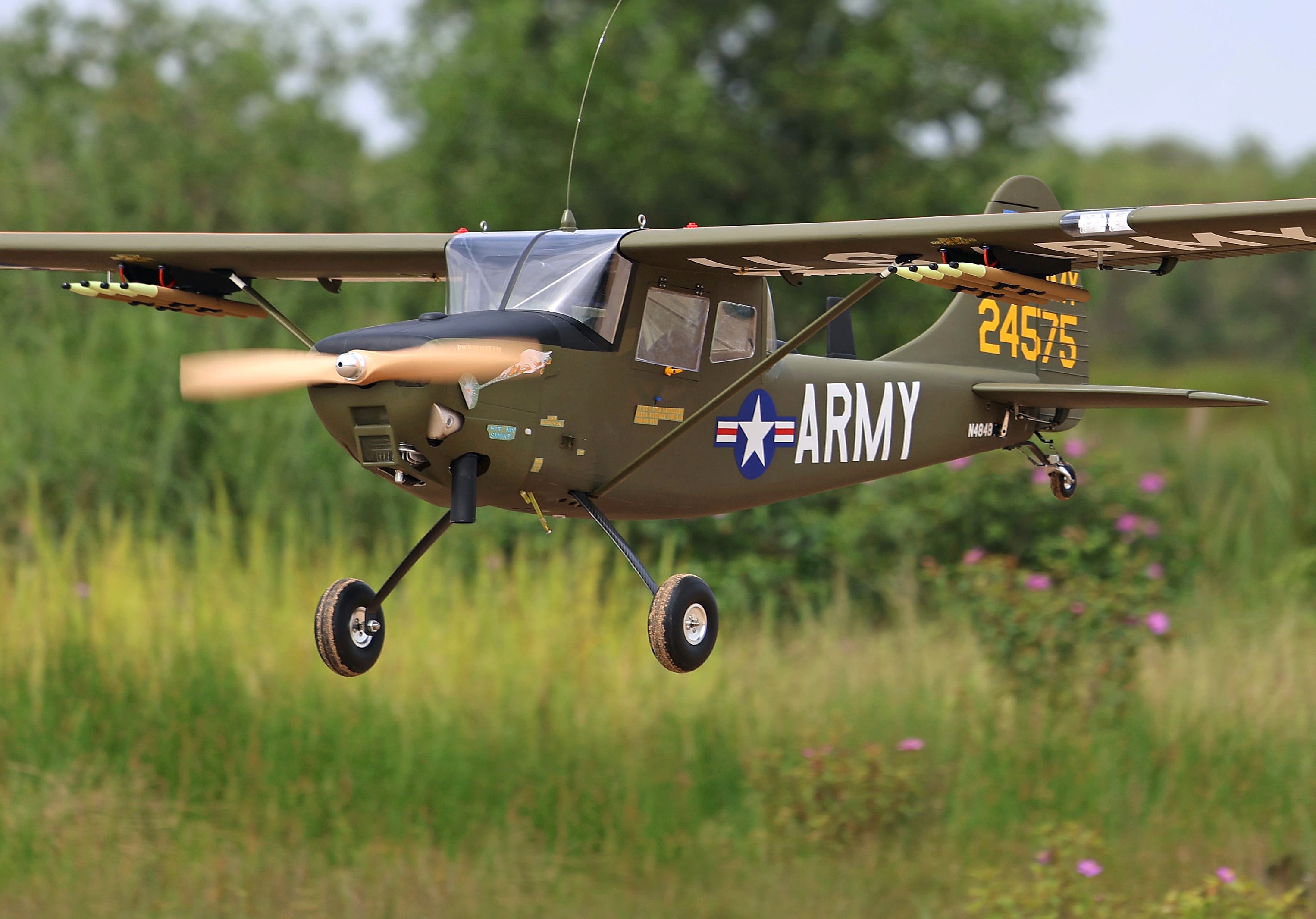 L-19A Bird Dog (Chickenman) (60-80cc) 3.09m (122.0in)