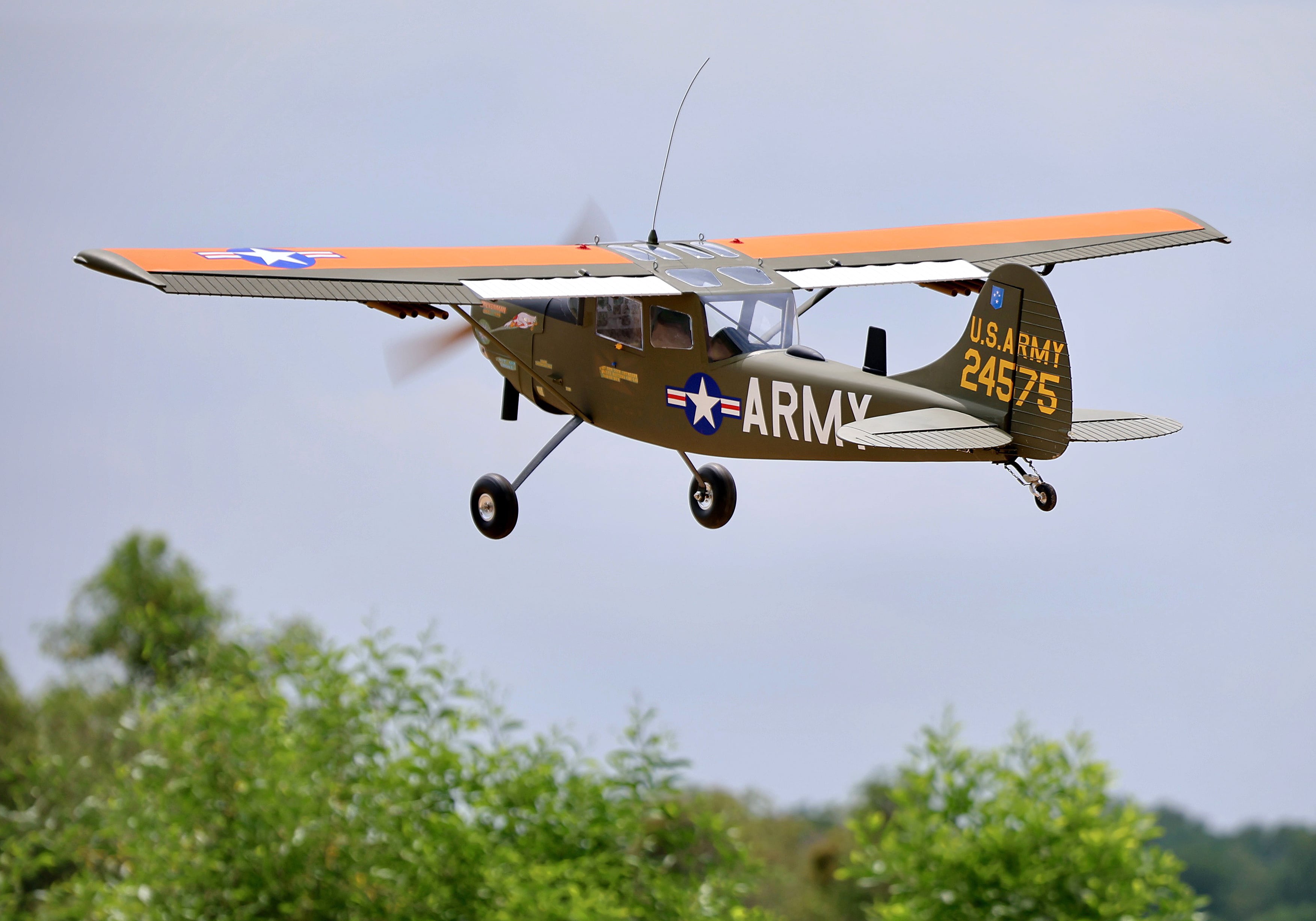 L-19A Bird Dog (Chickenman) (60-80cc) 3.09m (122.0in)-2