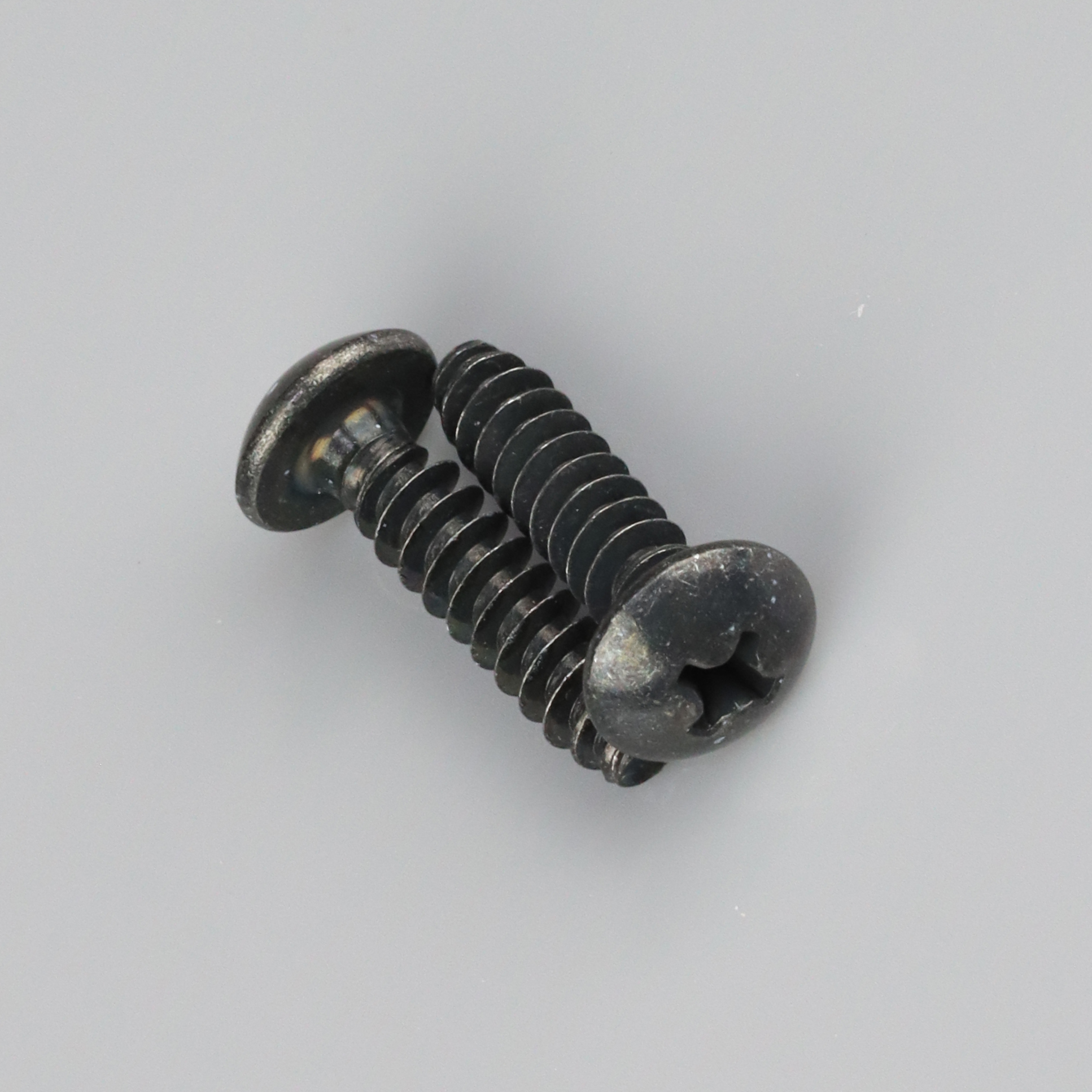 Screw for Housing (2 pcs)
