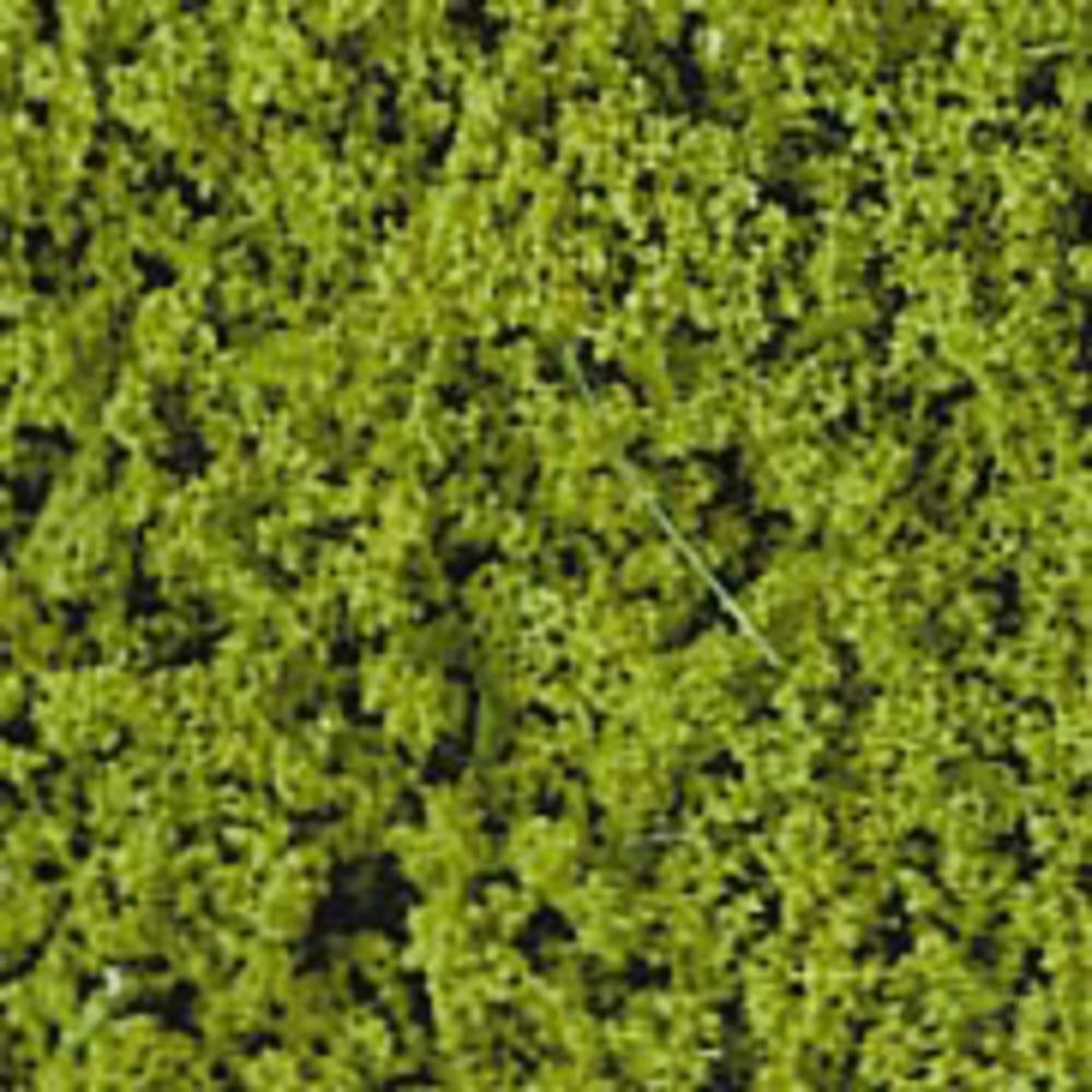 1550 Light Green Foam Tree Foliage
