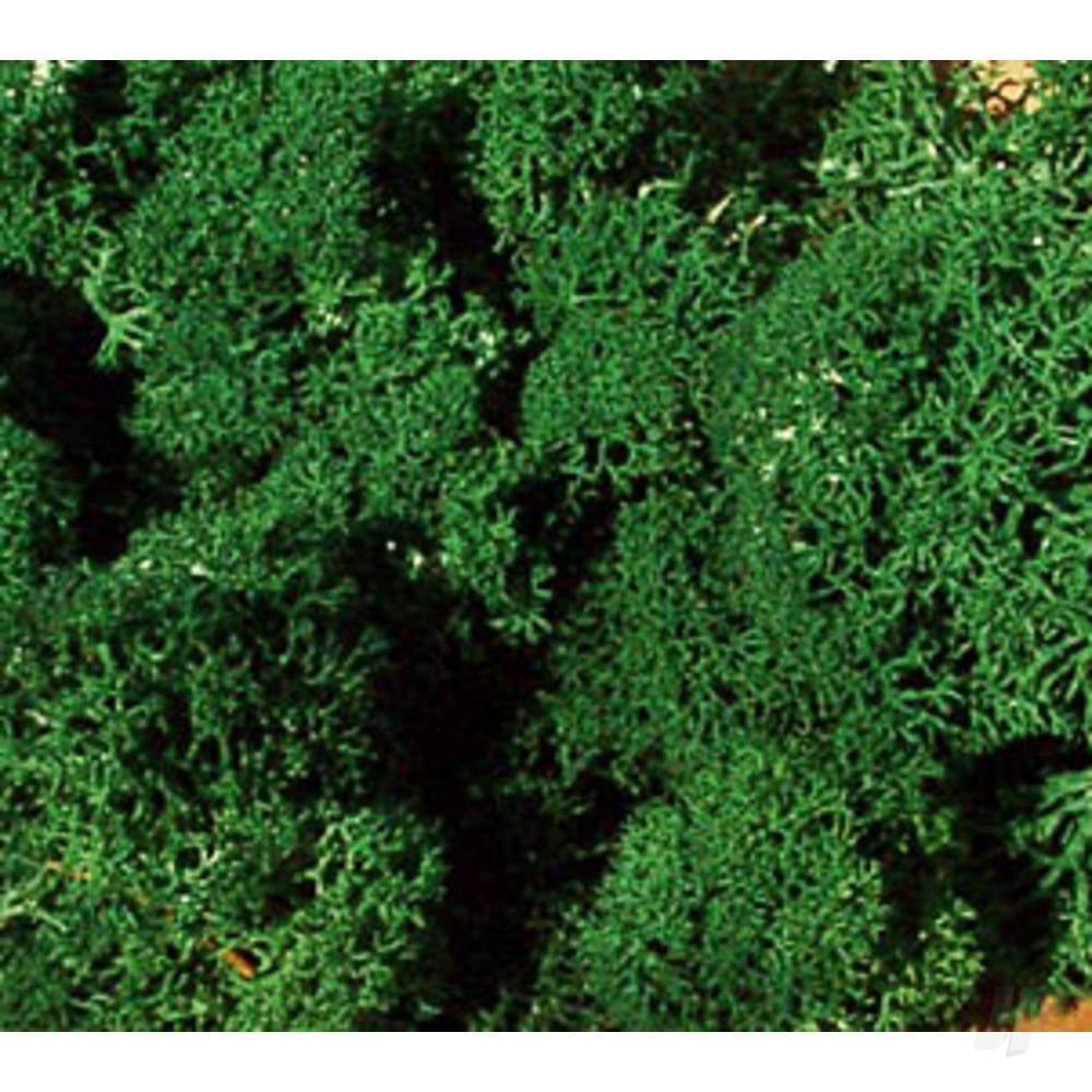 3231 Monster Lichen Dark Green