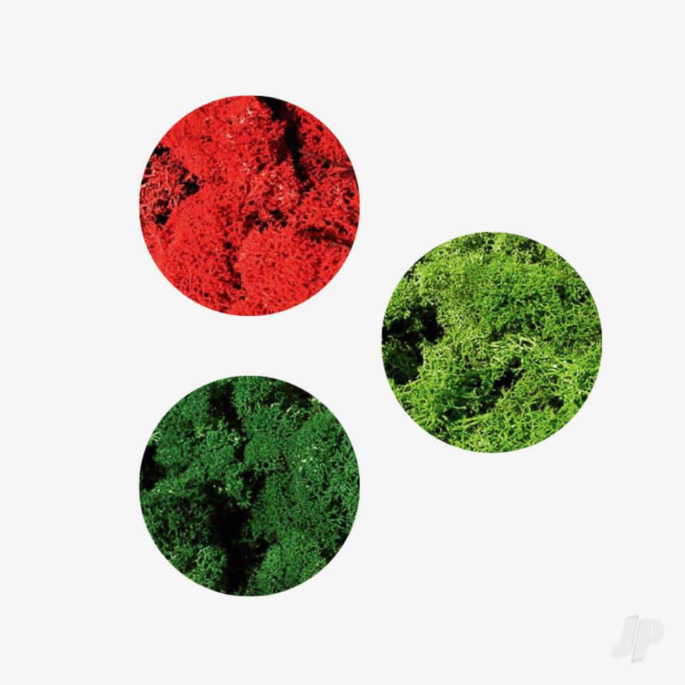 3221 Large Lichen Mixed (75g)-2