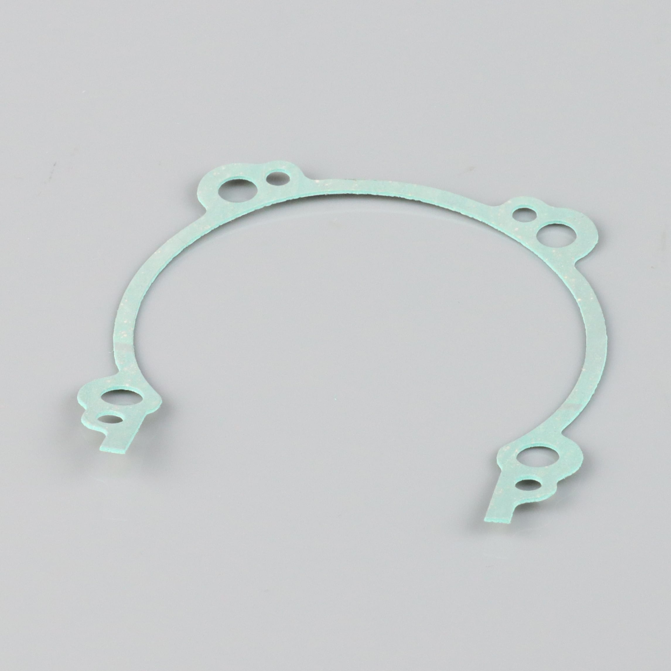 Crankcase Gasket-1