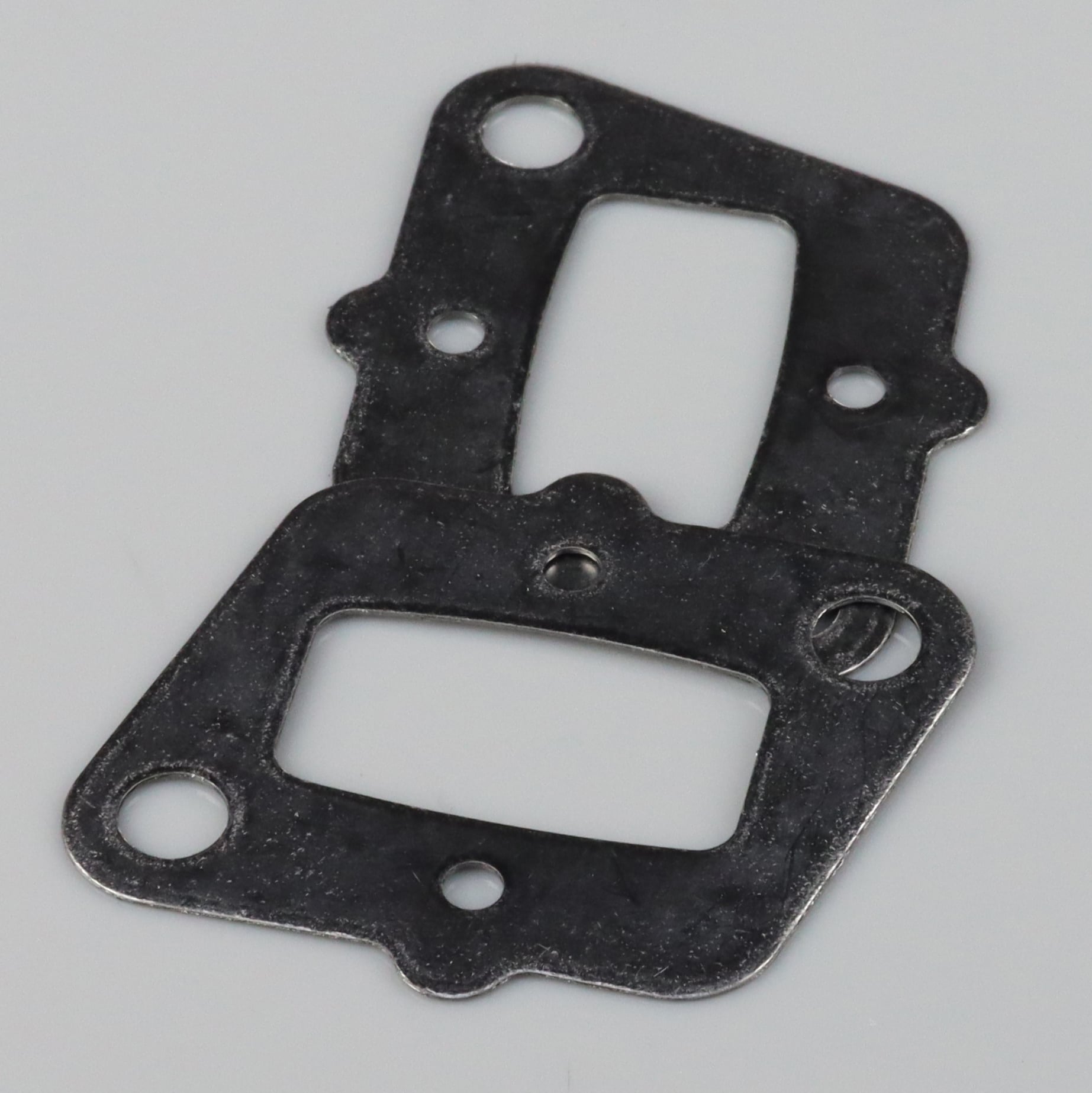 Intake Manifold Gasket (2 pcs)