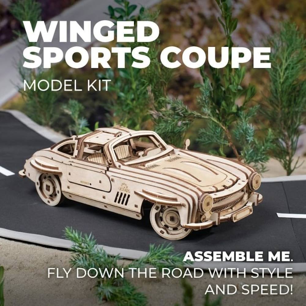 Winged Sports Coupe-10
