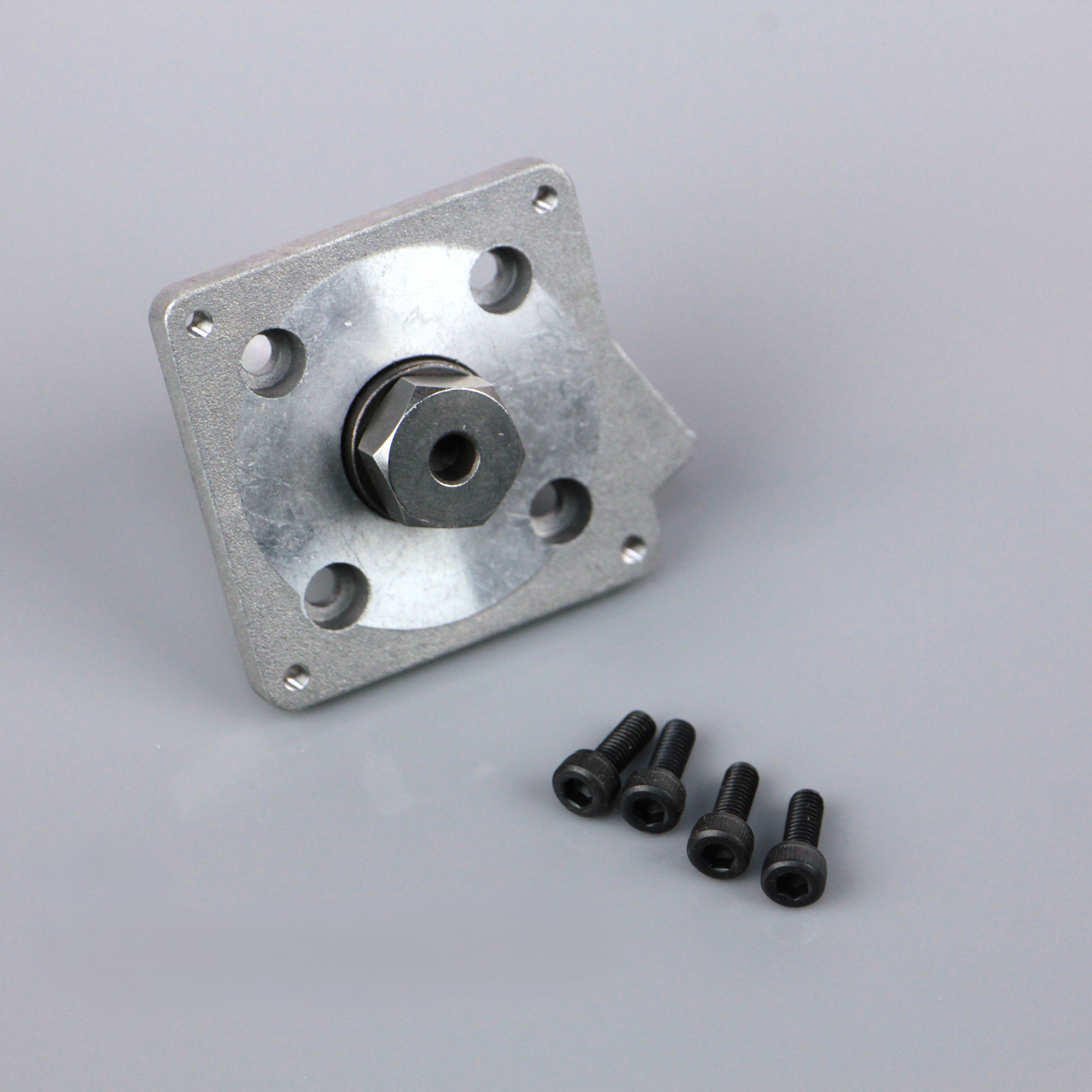 Ts1D Pullstart Back Plate Complete (Large)