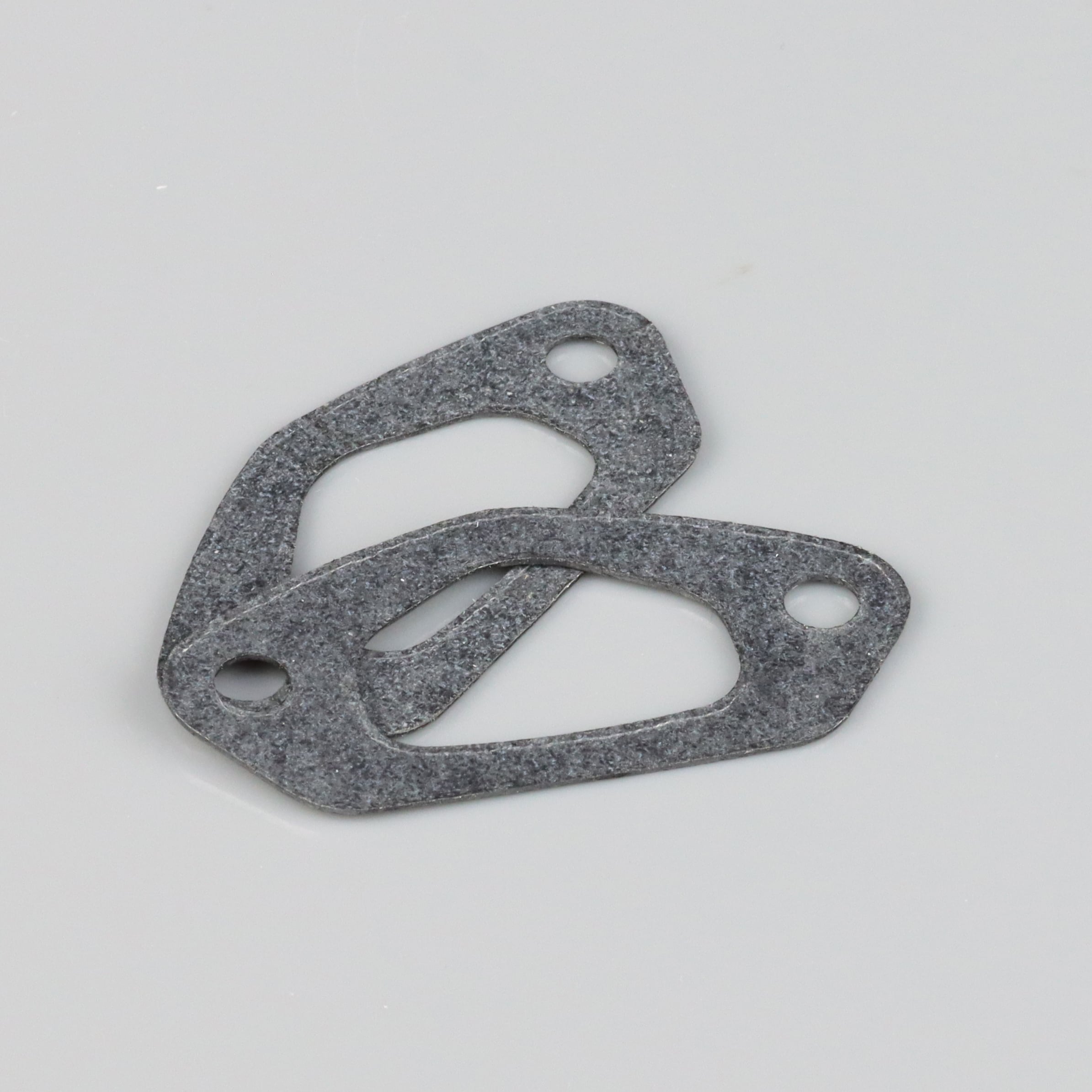 Gasket (2 pcs)