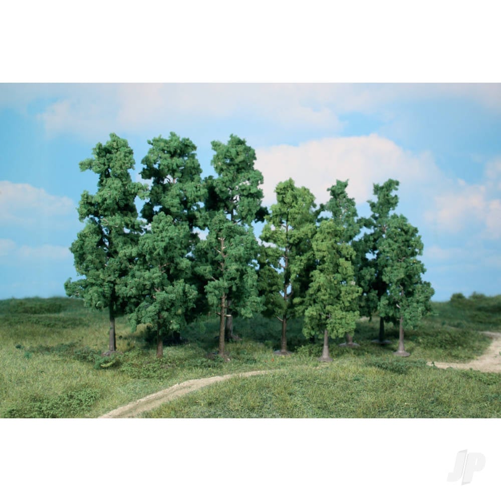 1362 30 Birch Trees 12-18cm