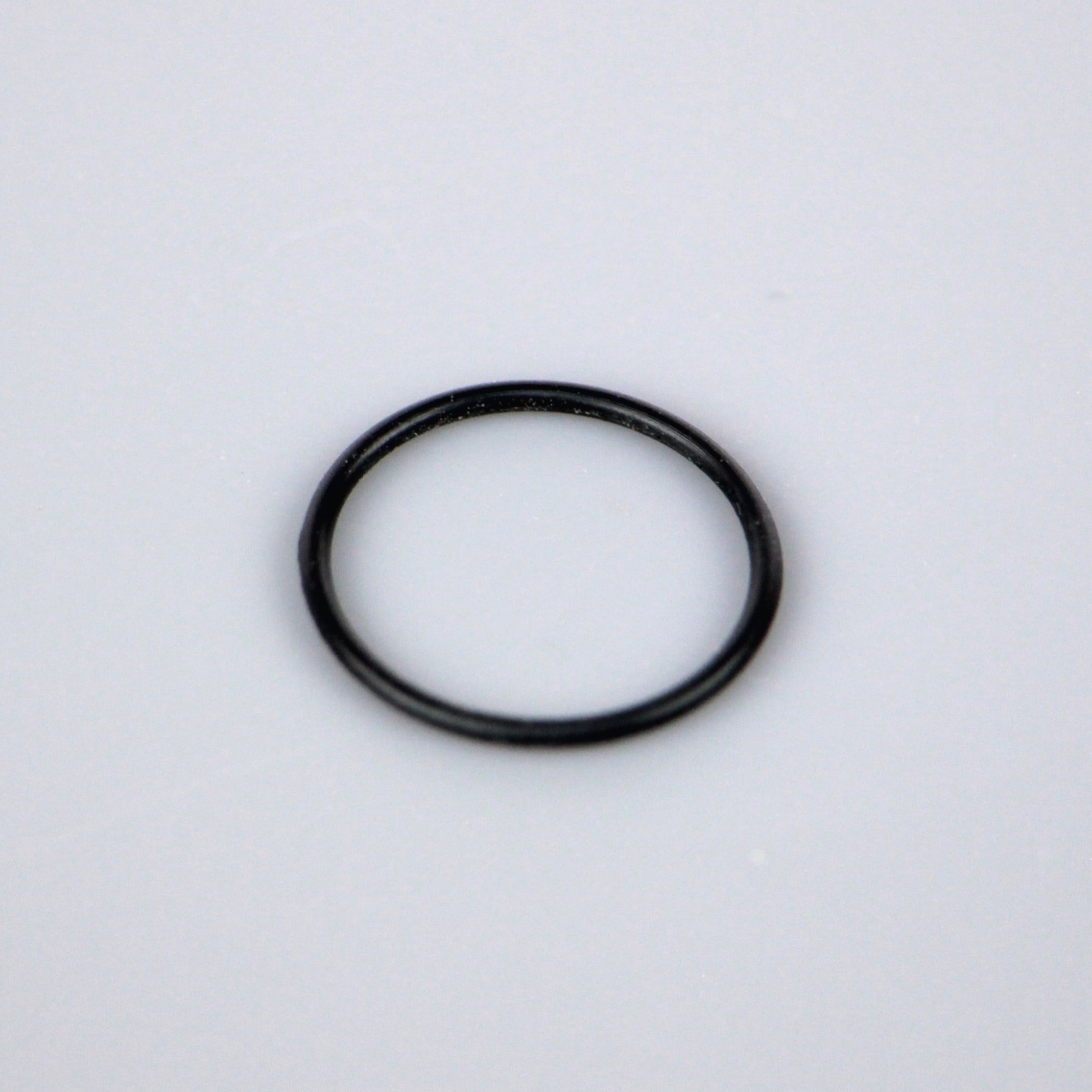 TE010A Carb O Ring Large (Sh28) (1)