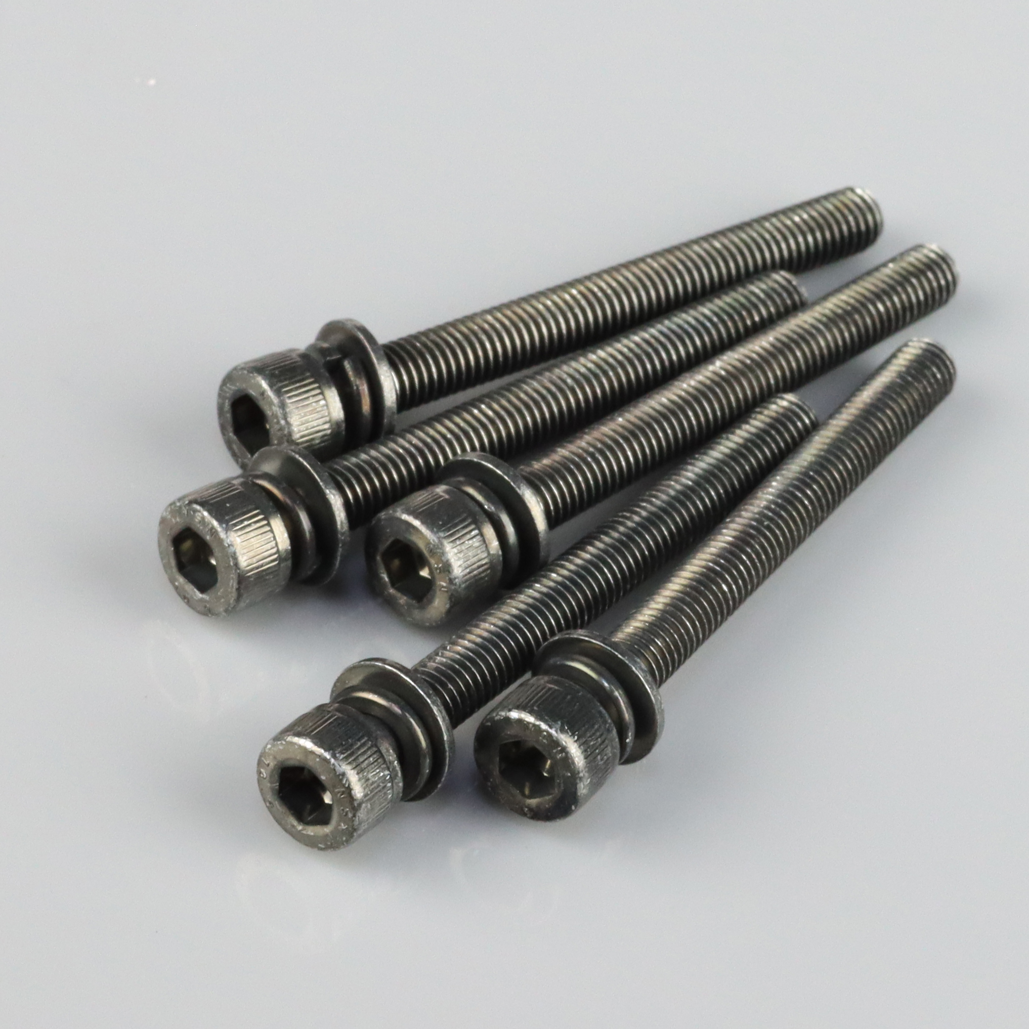Bolt M5x55mm (5 pcs)