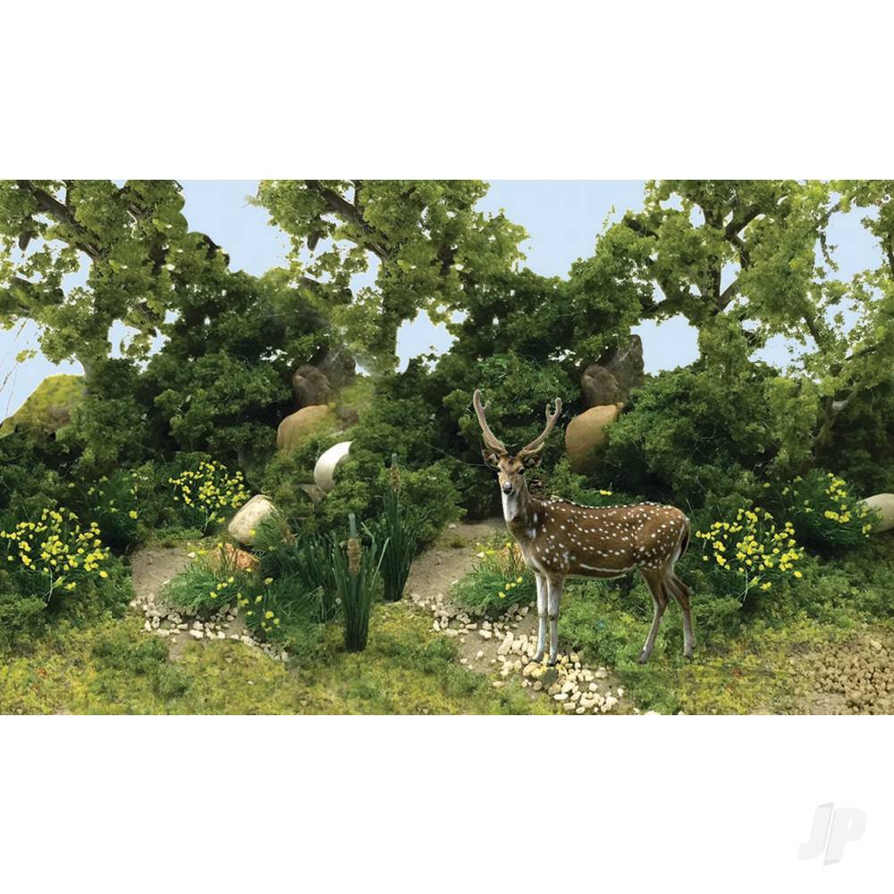 Enchanted Forest