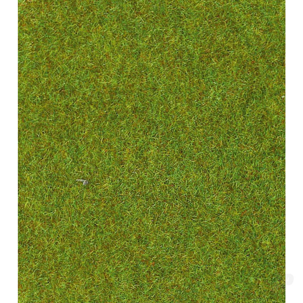 30901 Light Green Grassmat 75x100cm