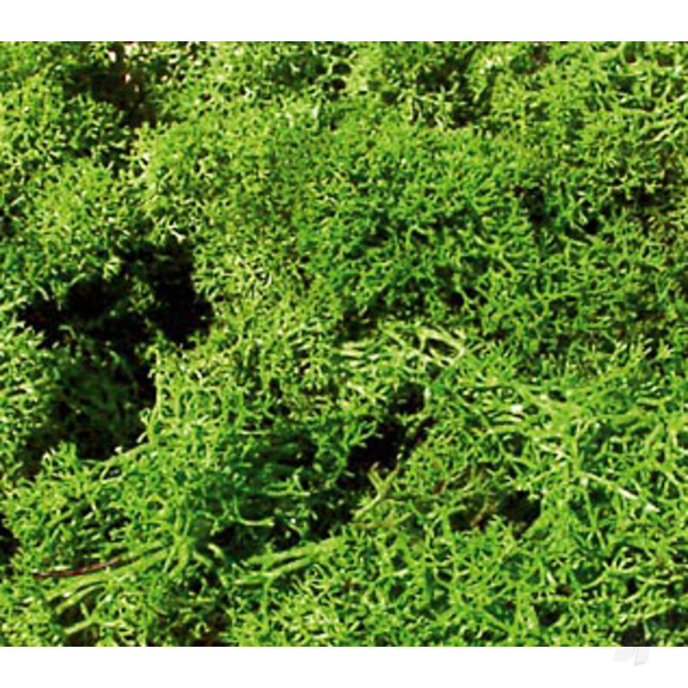 3210-standard-lichen-light-green