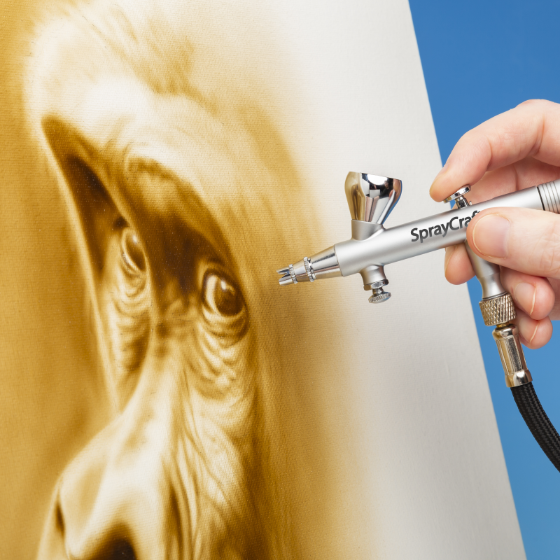 Pro Airbrush Kit-2