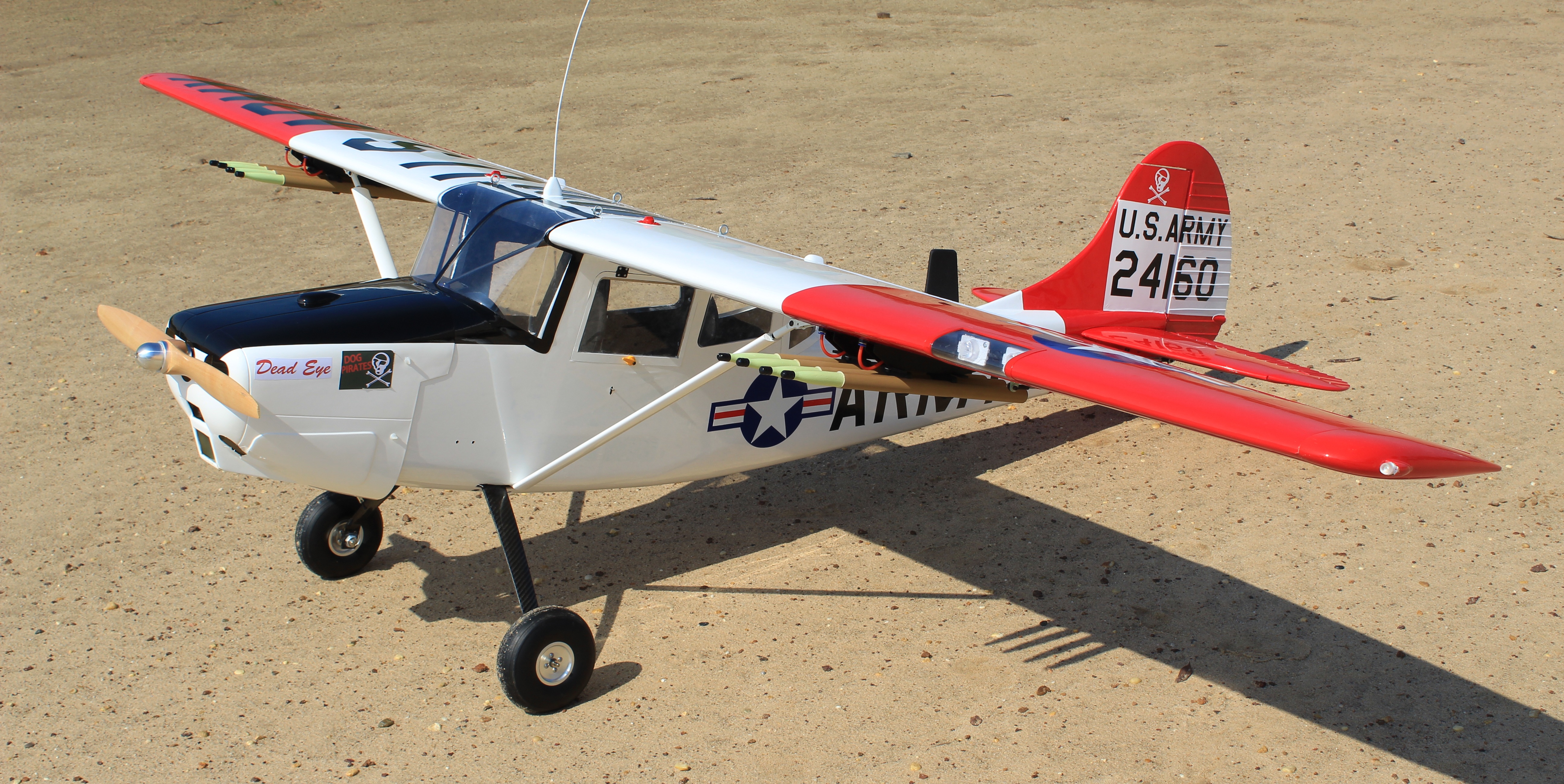 L-19A Bird Dog (Dead Eye) (60-80cc) 3.09m (122.0in)-2