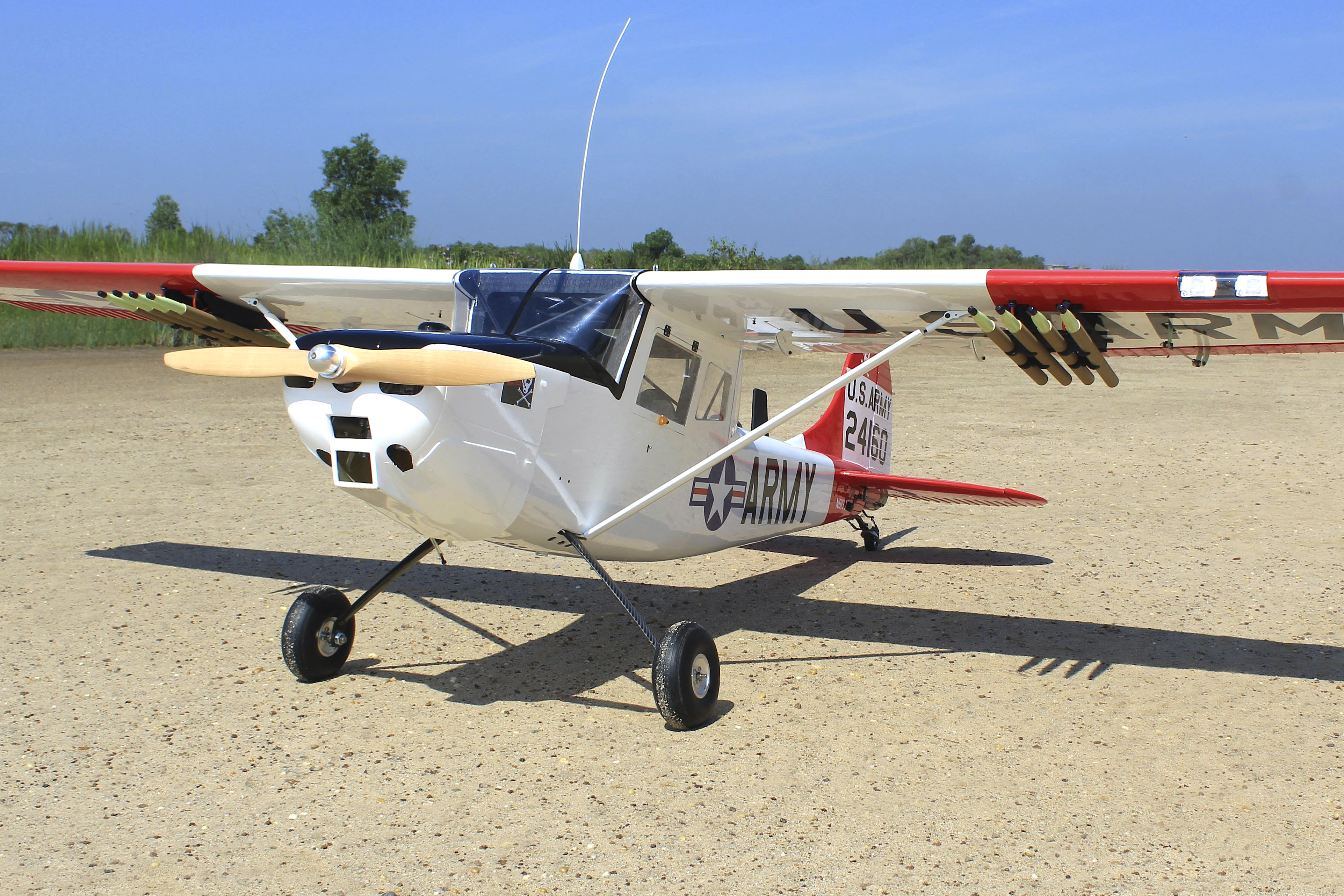 L-19A Bird Dog (Dead Eye) (60-80cc) 3.09m (122.0in)-3