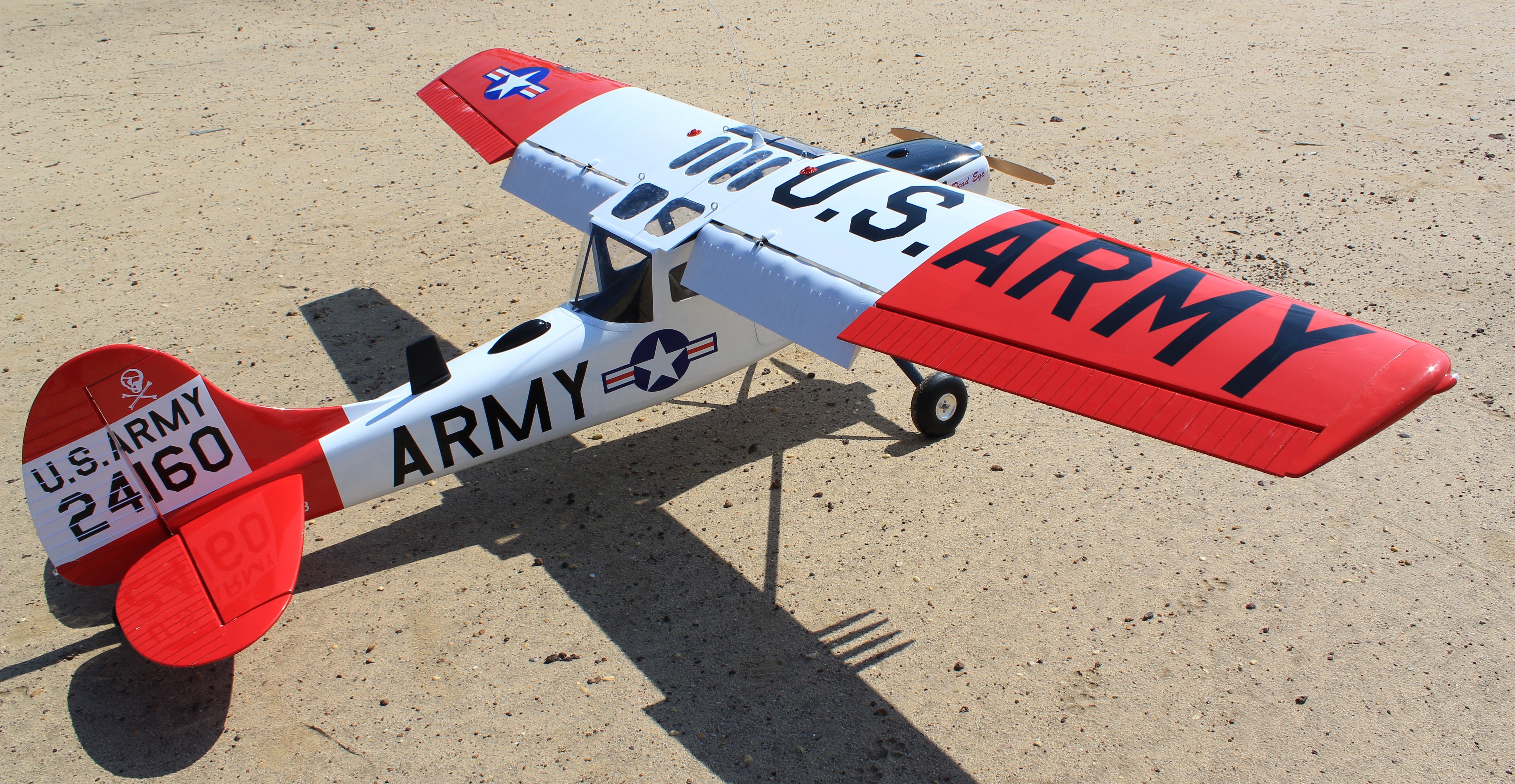 L-19A Bird Dog (Dead Eye) (60-80cc) 3.09m (122.0in)-4