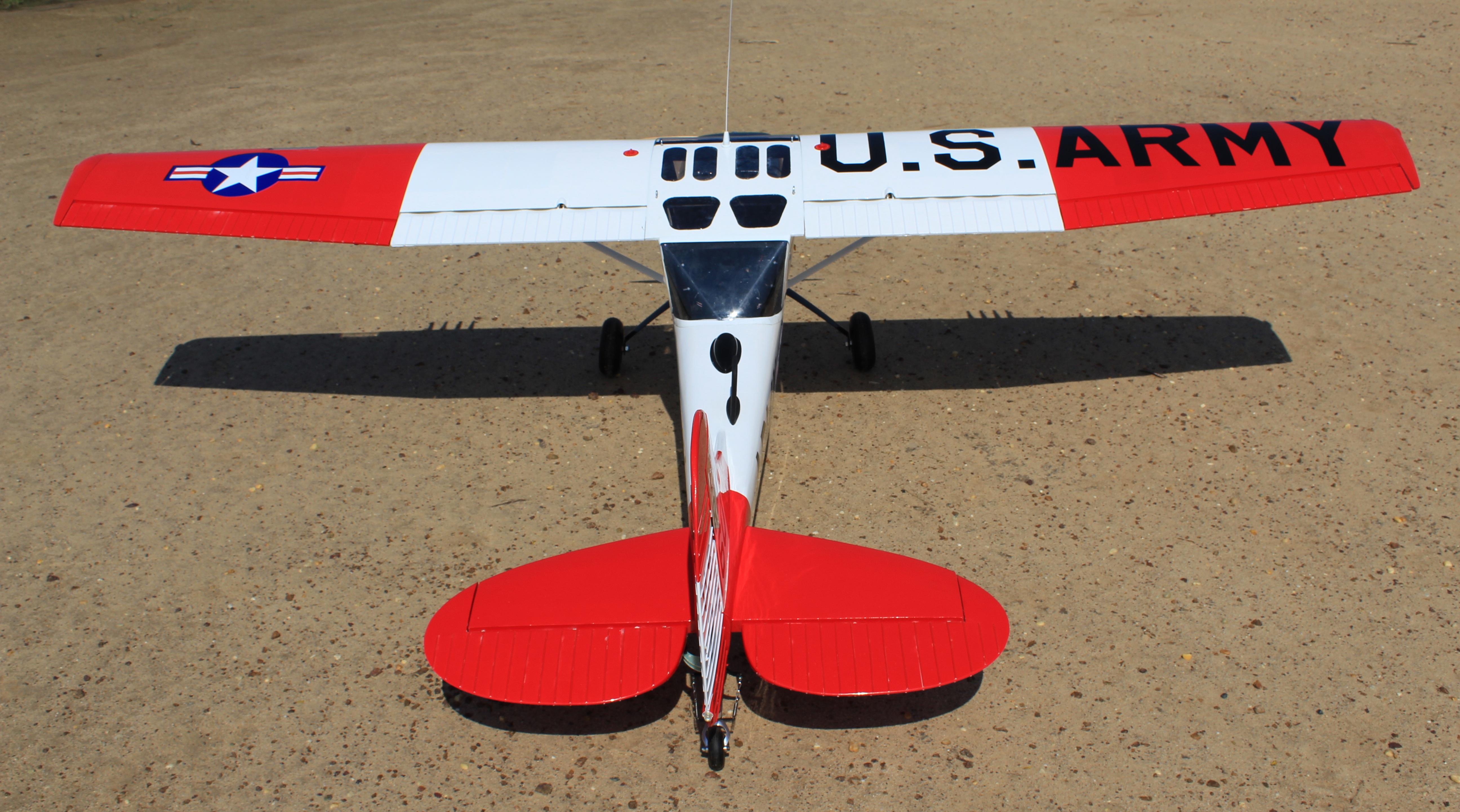 L-19A Bird Dog (Dead Eye) (60-80cc) 3.09m (122.0in)-5