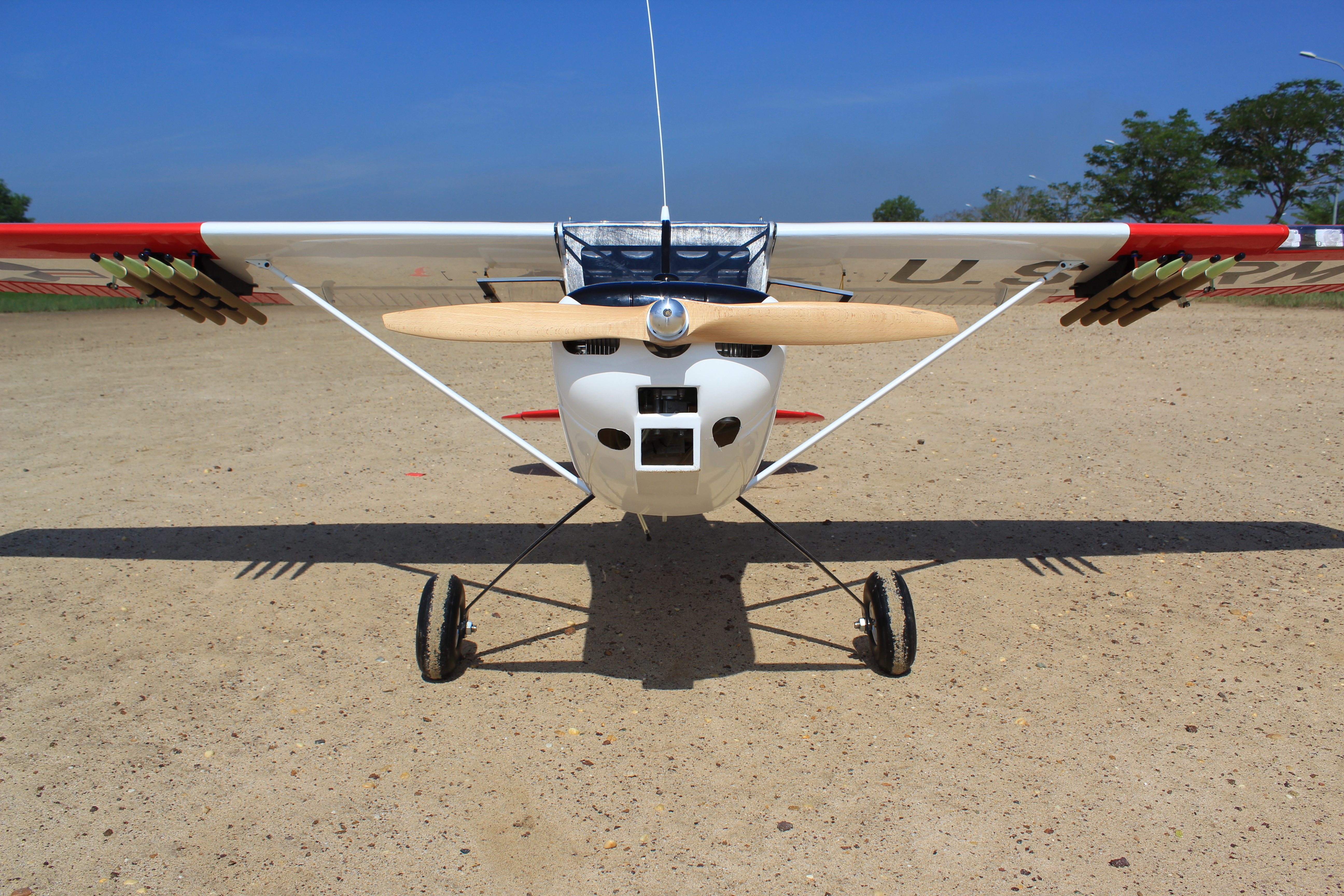 L-19A Bird Dog (Dead Eye) (60-80cc) 3.09m (122.0in)-6