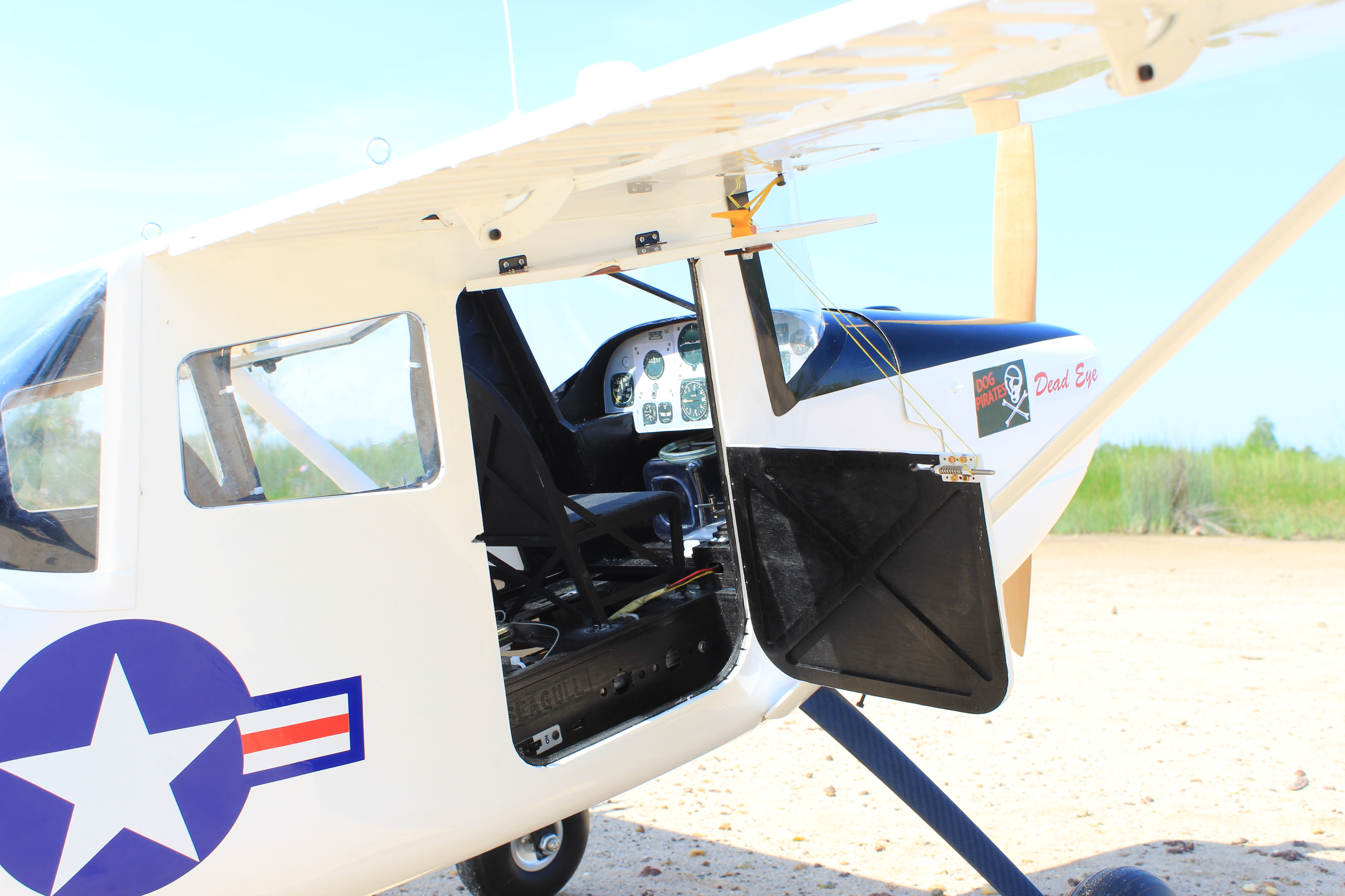 L-19A Bird Dog (Dead Eye) (60-80cc) 3.09m (122.0in)-8