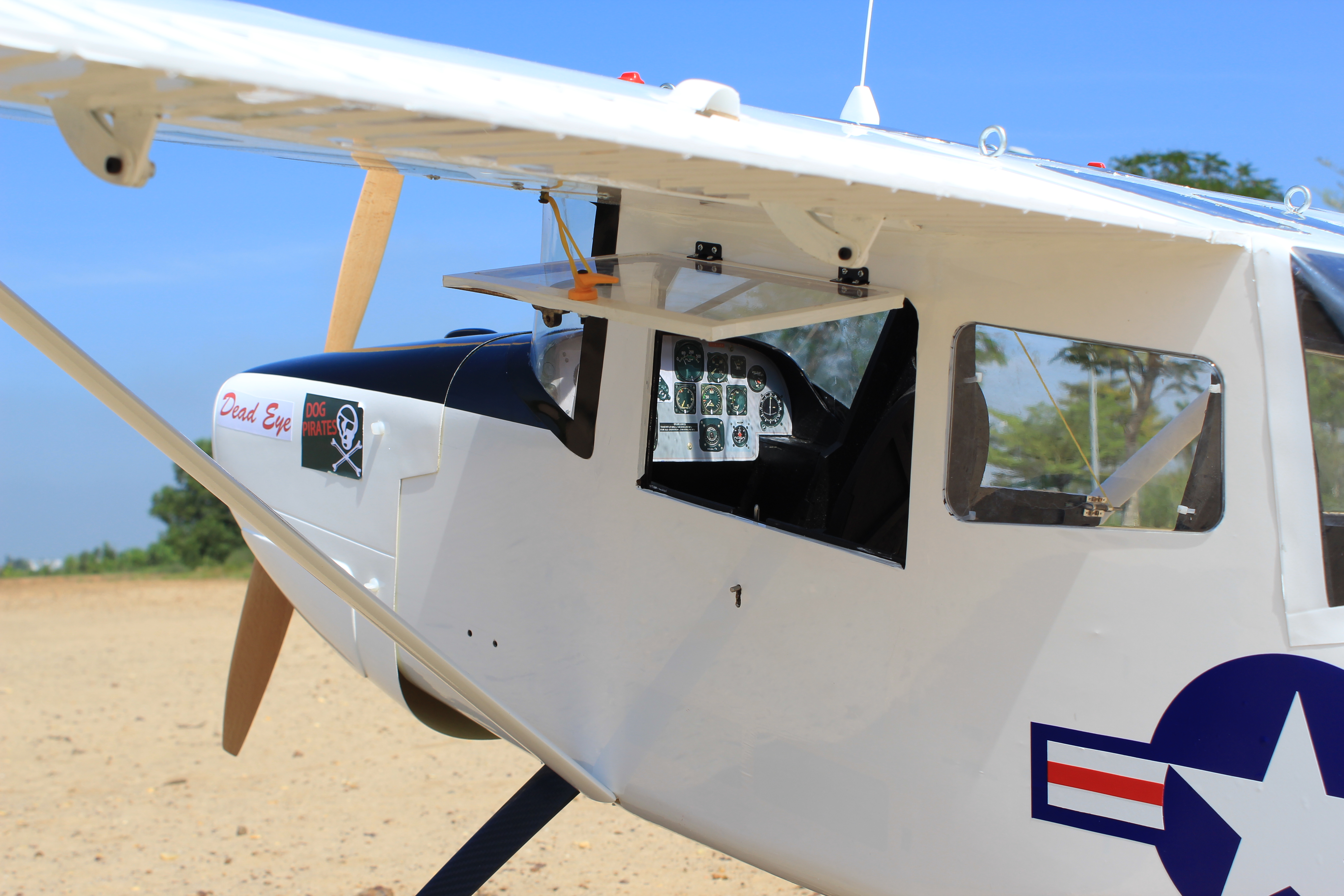 L-19A Bird Dog (Dead Eye) (60-80cc) 3.09m (122.0in)-9