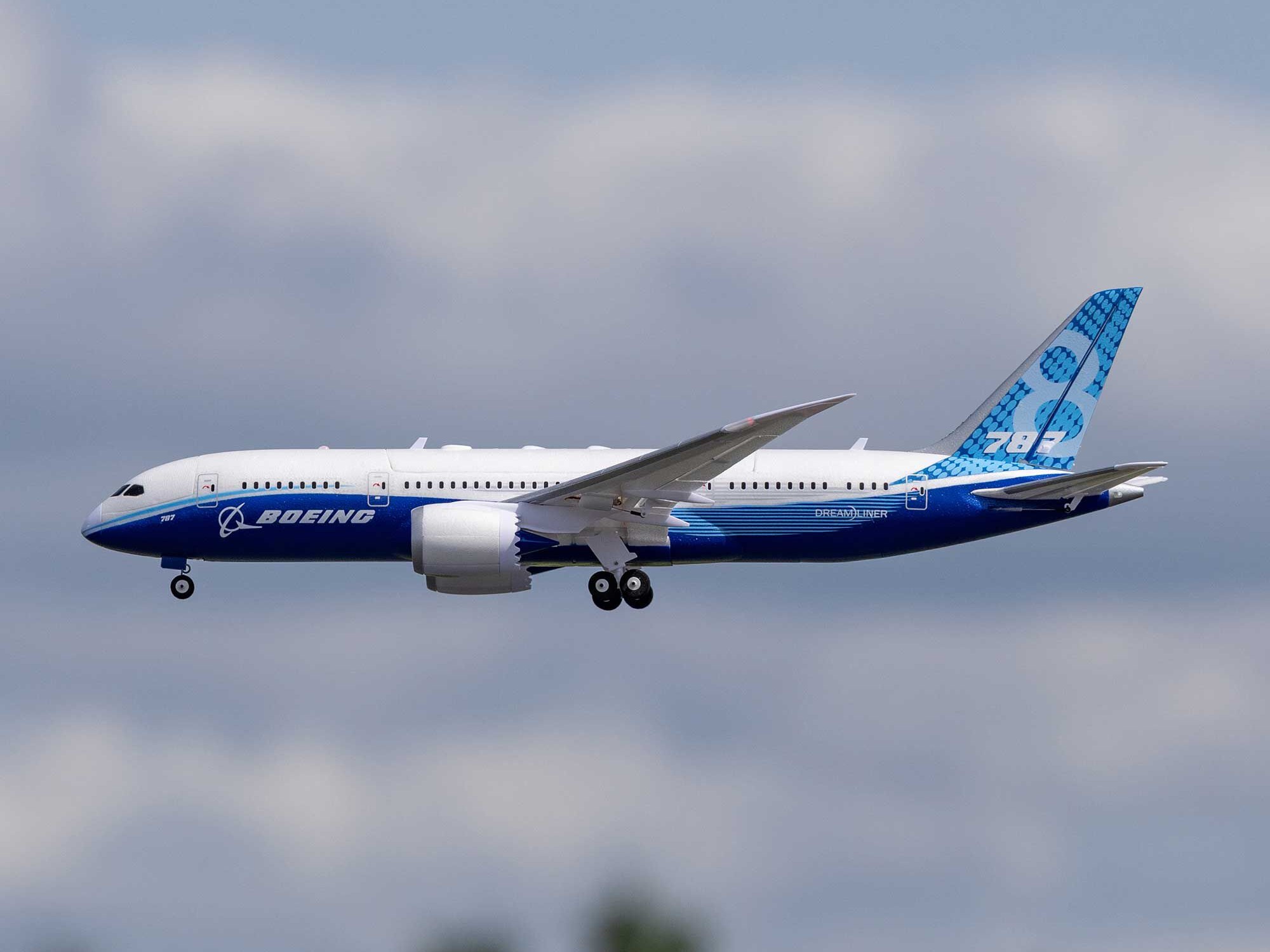 Micro Boeing 787 Dreamliner Twin 30mm EDF BNF Basic-21