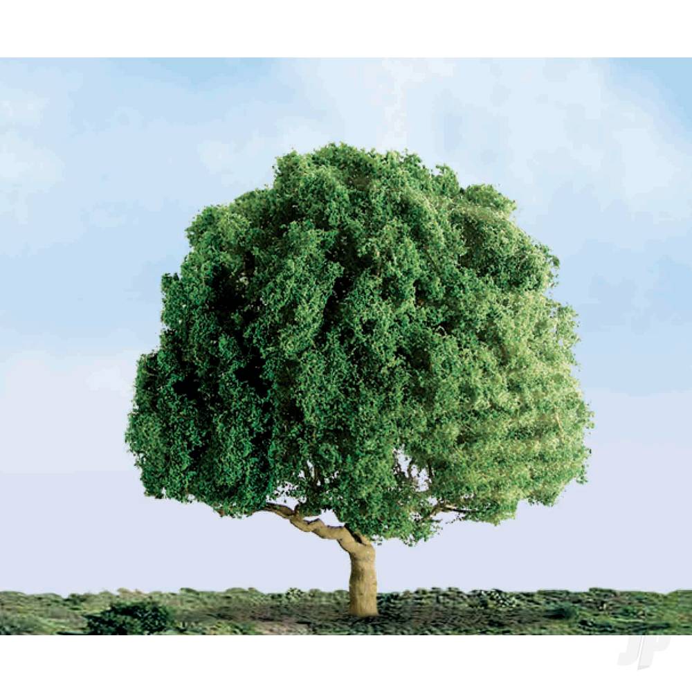 oak-1in-4-per-pack