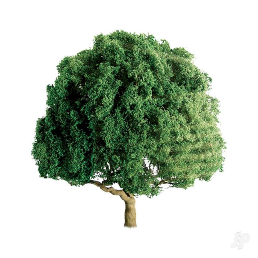 oak-1in-4-per-pack