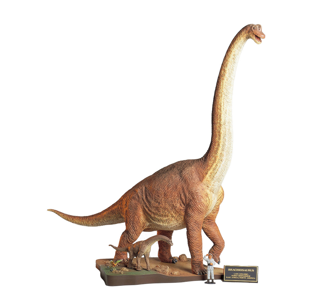 Tamiya Brachiosaurus Diorama 1/35
