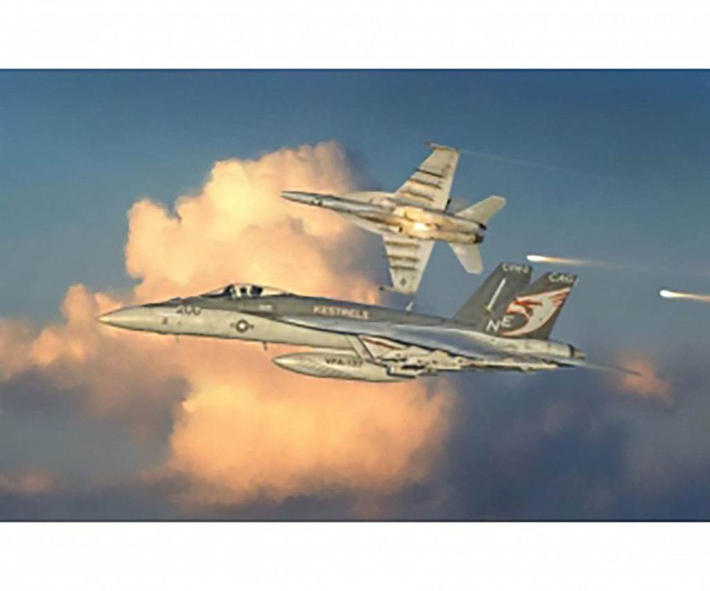Italeri F/A-18E  SUPER HORNET   TOP GUN!