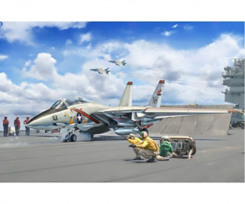 Italeri F-14A Tomcat