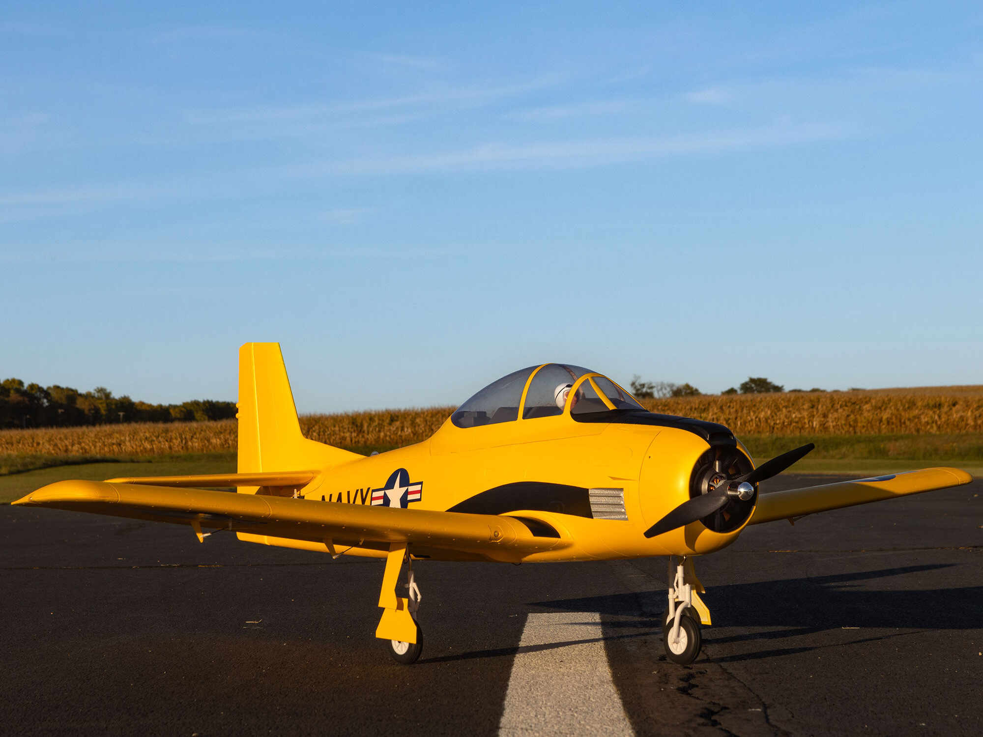carbon-z-t-28-trojan-20m-bnf-basic-with-as3x-and-safe-selec